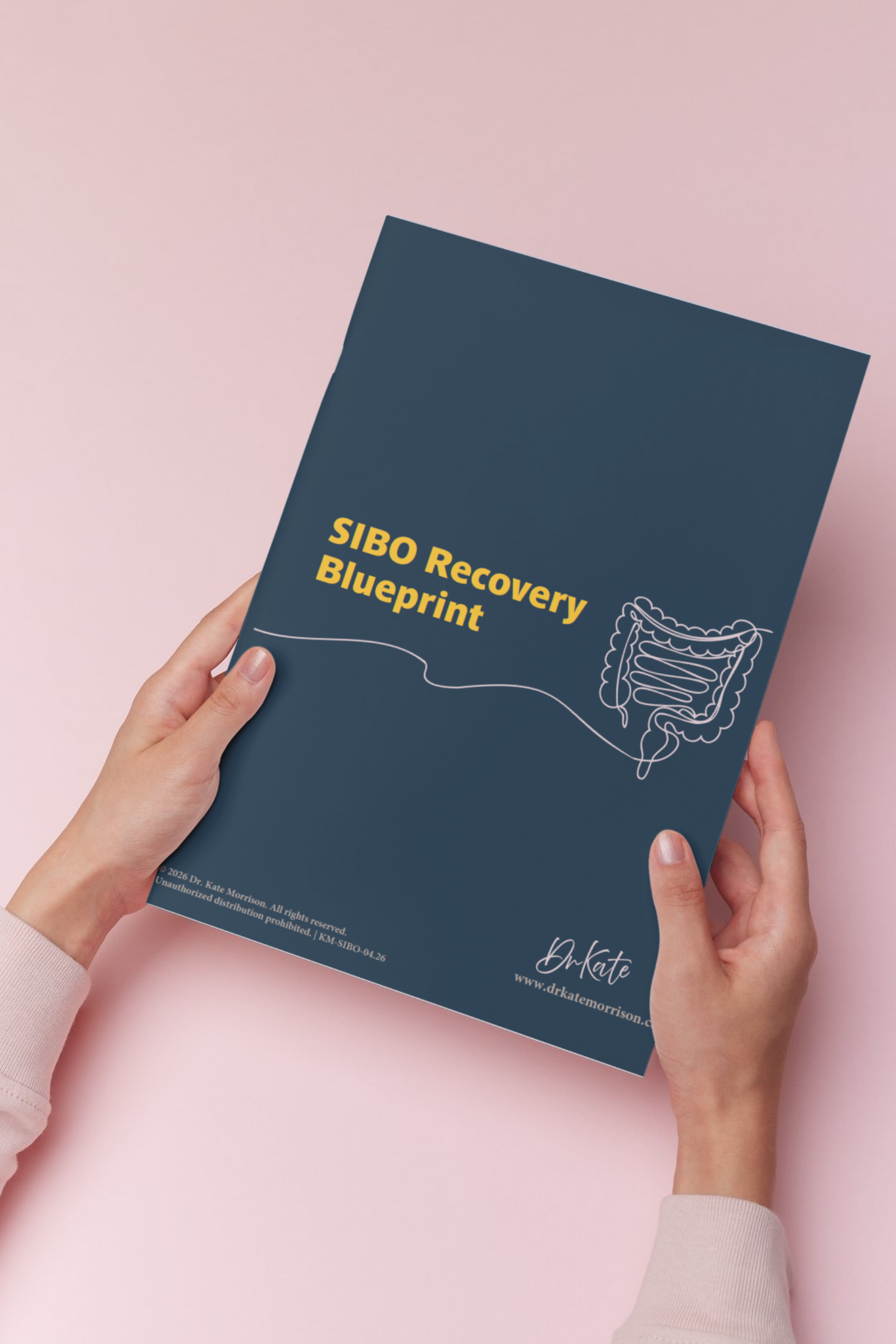 SIBO Recovery Blueprint Image for squarespace.png
