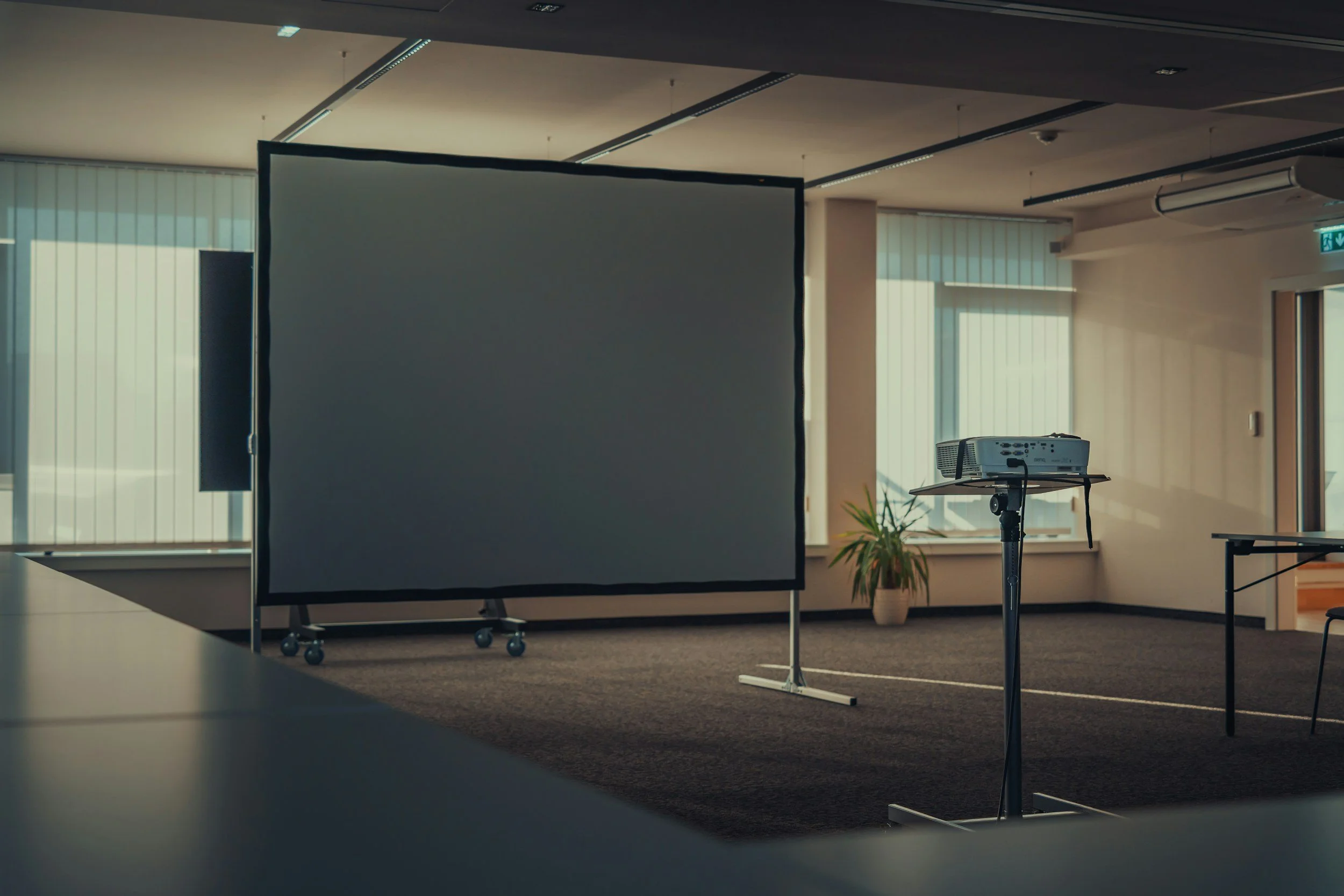 Empty conference room with a projection screen, a projector on a stand, and a potted plant near the window.