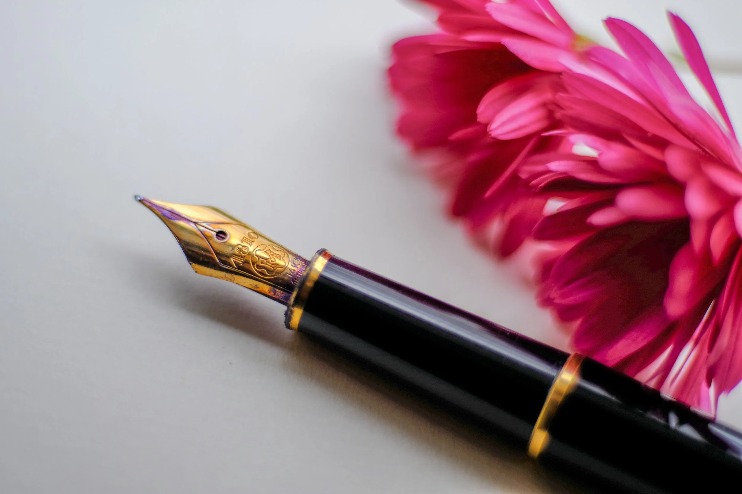 Close-up of a black and gold fountain pen with a pink flower in the background.