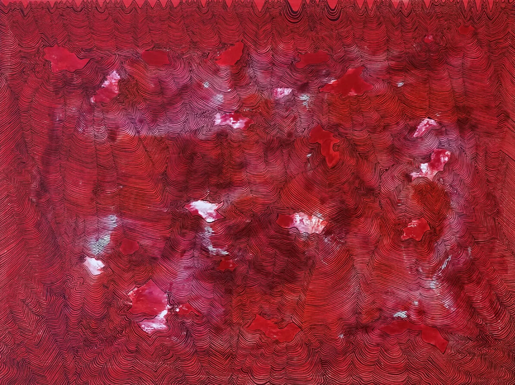 “Abstract synaesthesia artwork by Australian artist Tanja Ackerman featuring intricate black topographic linework over a vivid red palette with layered organic shapes and textured highlights.