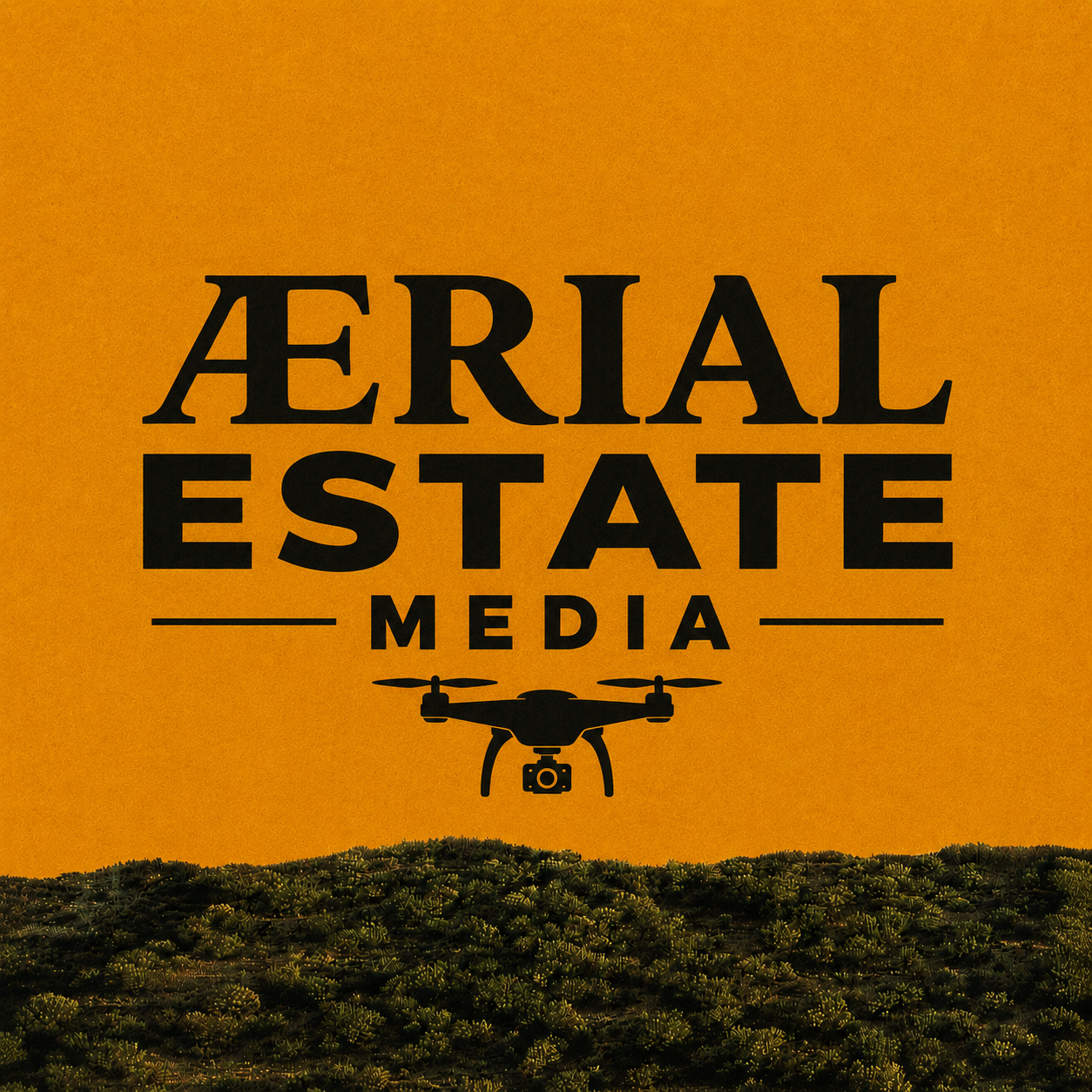 Aerial Estate 