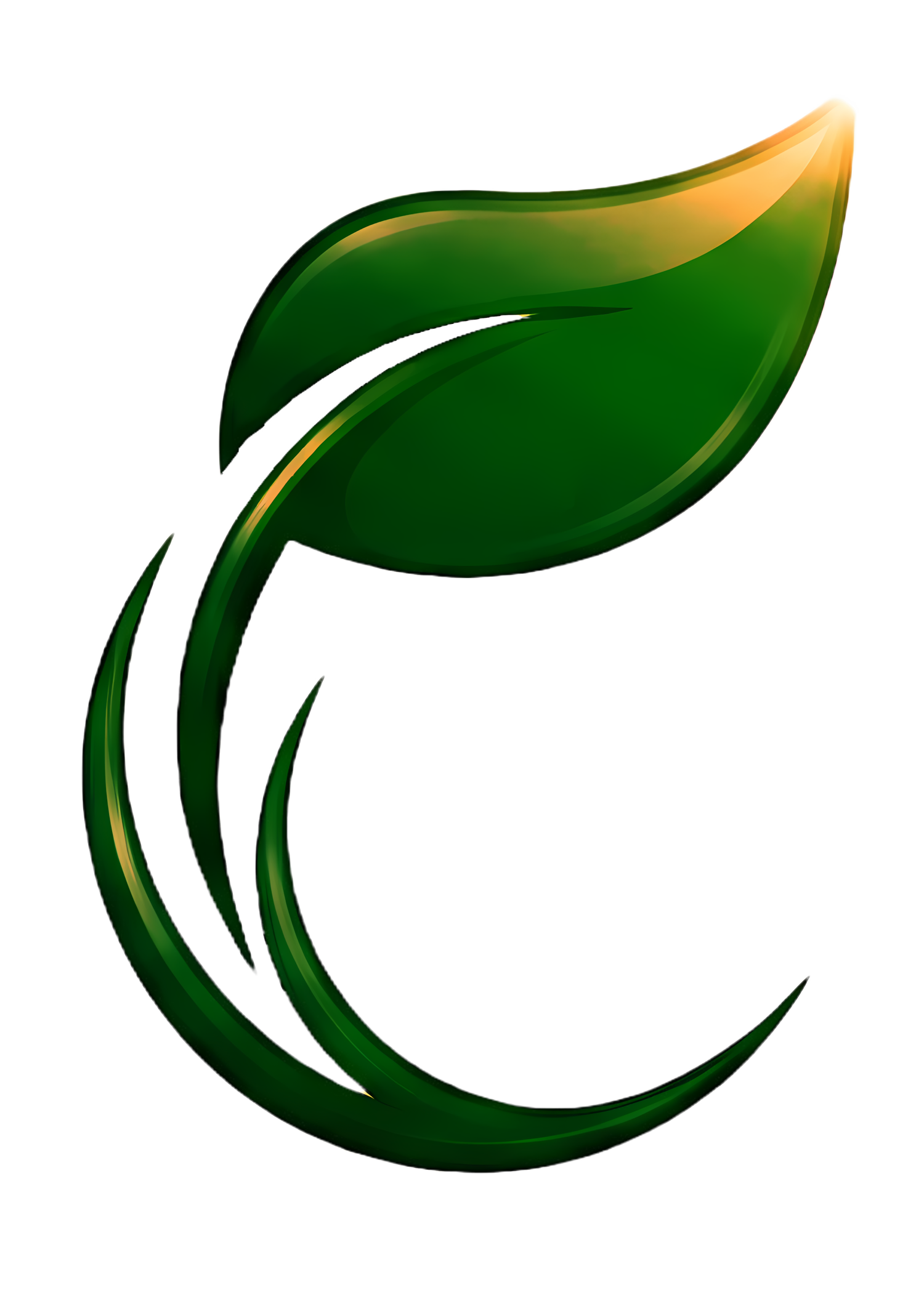 Shining Leaf Holisitc Cleaners