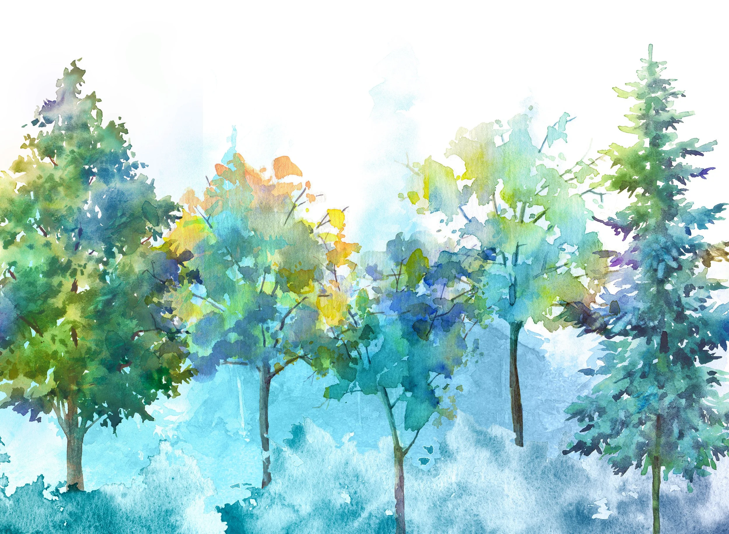 Watercolor Forest