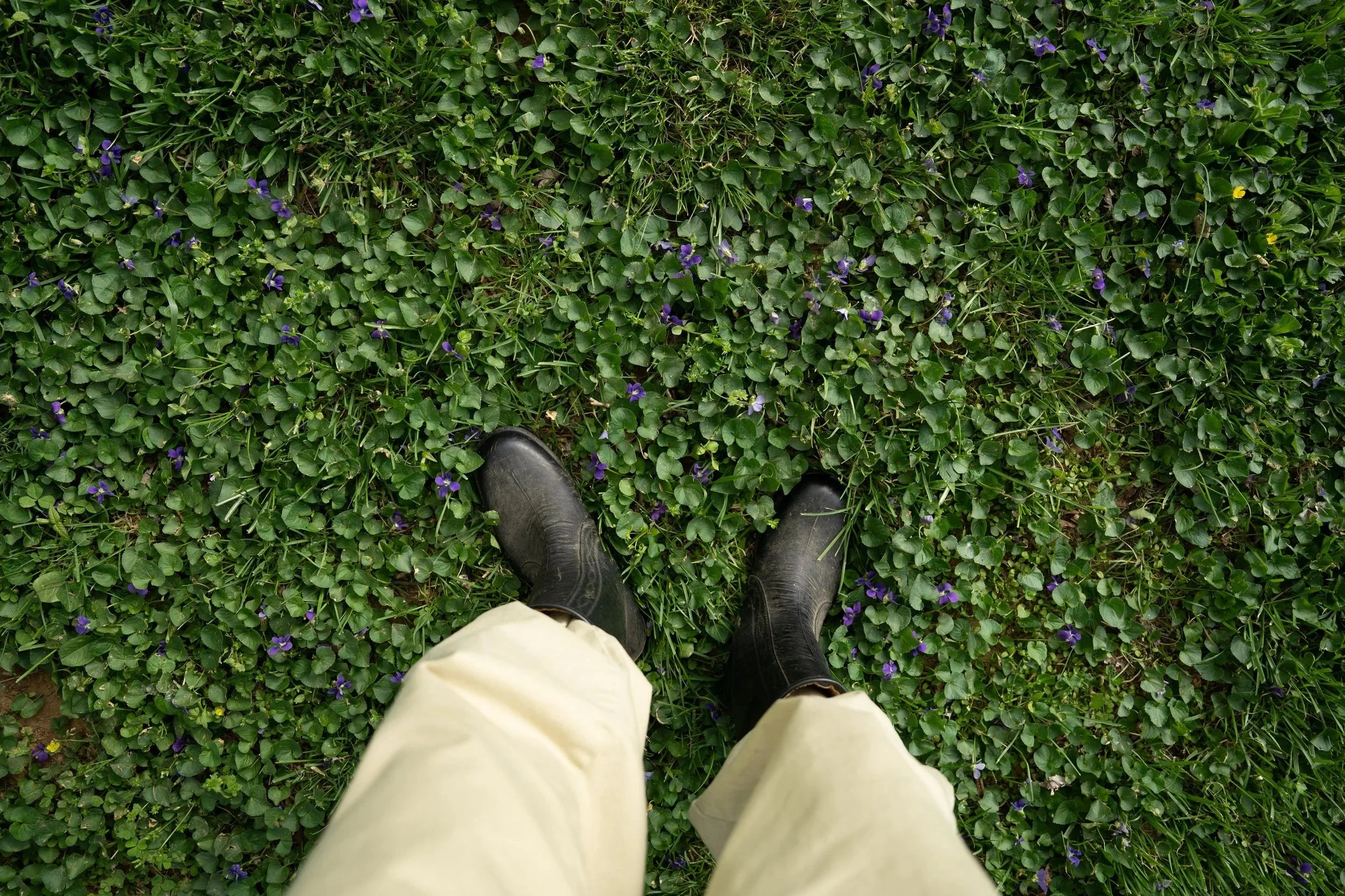 Spring Flings at the Farm.
