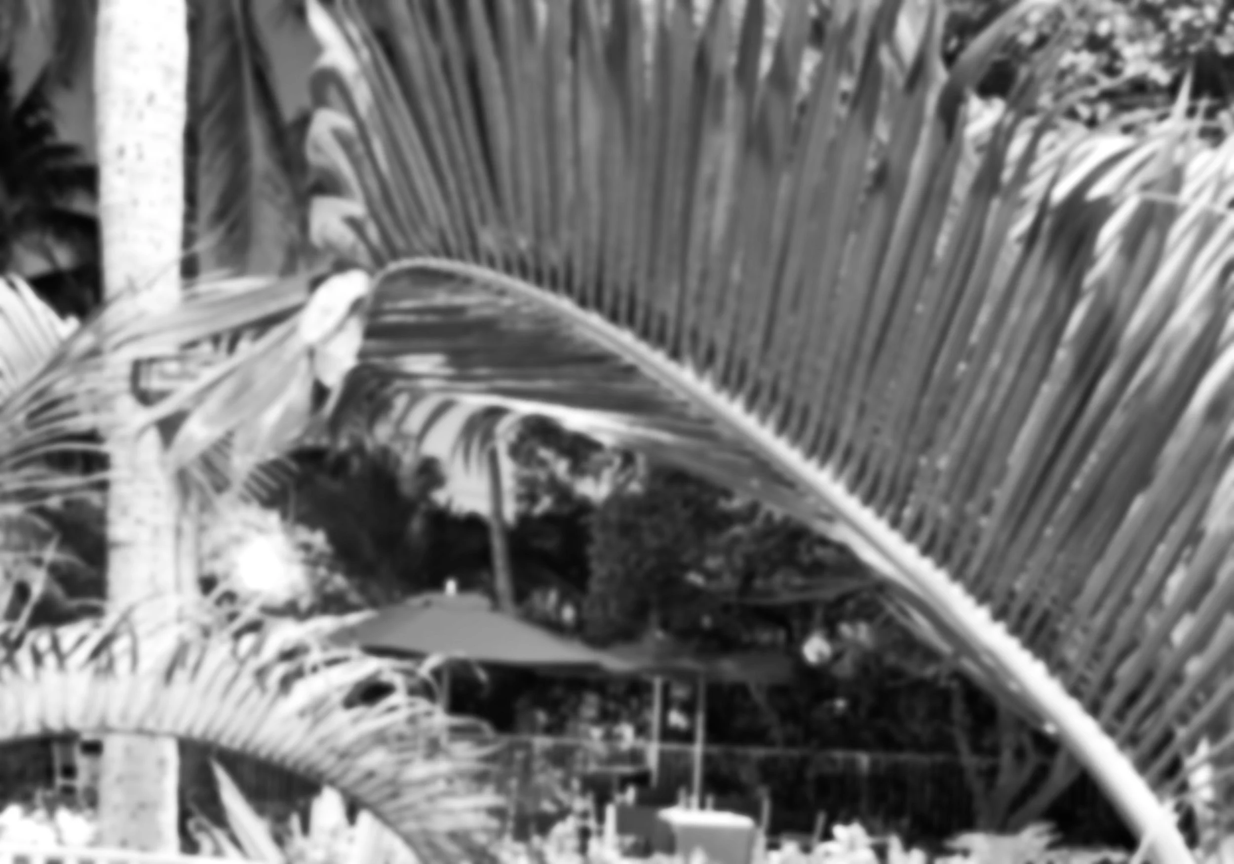 FATED DELAY

It did not begin when anything happened. 
It began long before—in the quiet space where possibility waits for its moment to become real.

Some Stories do not arrive all at once.
They circle,
they linger at the edges of your life
unseen b