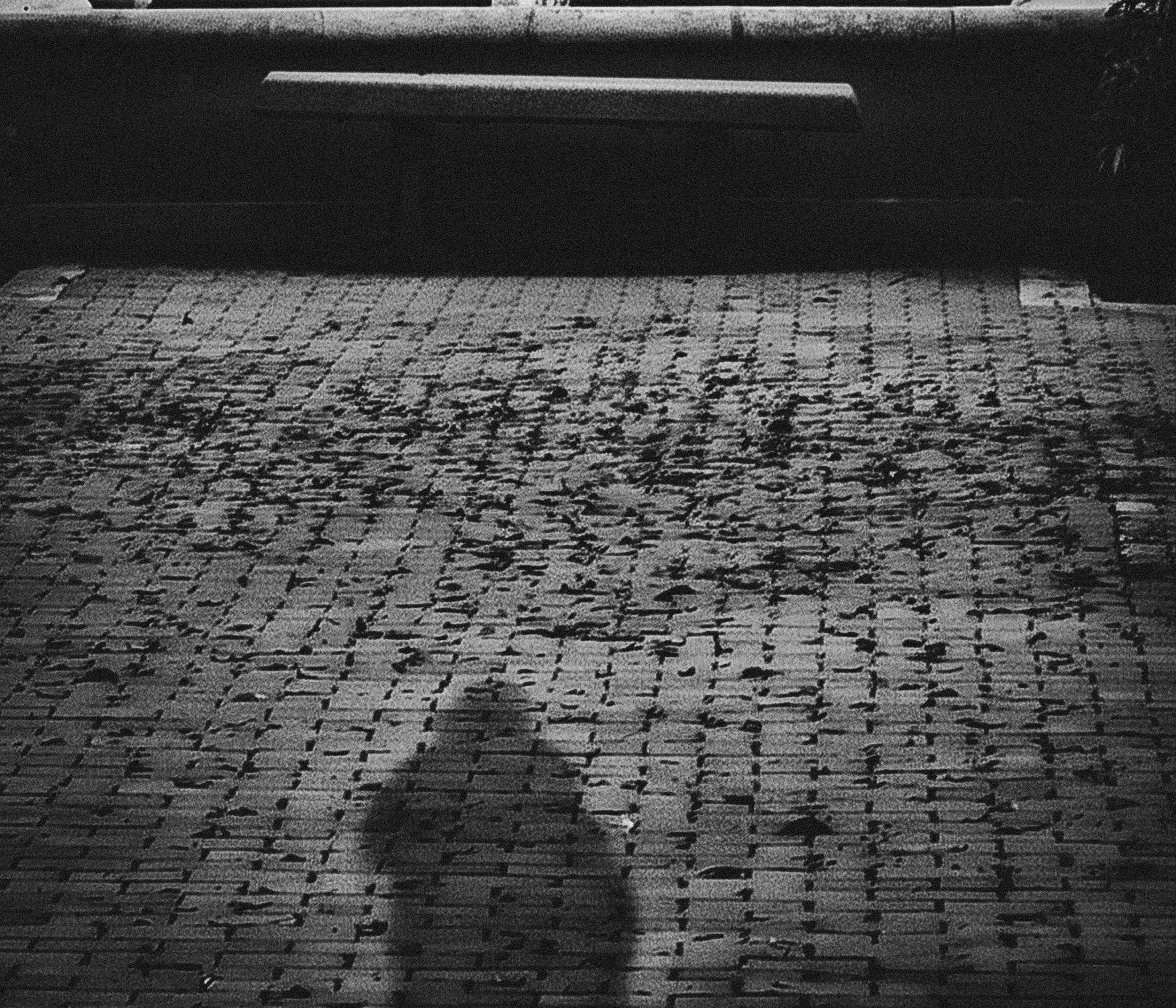 WHERE I ALMOST WAS

A figure appears only as shadow
elongated, indistinct, never fully formed.

It moves toward a place that remains just out of reach,
held at a distance where presence has not yet
become real.

The bench waits, untouched.
The space 