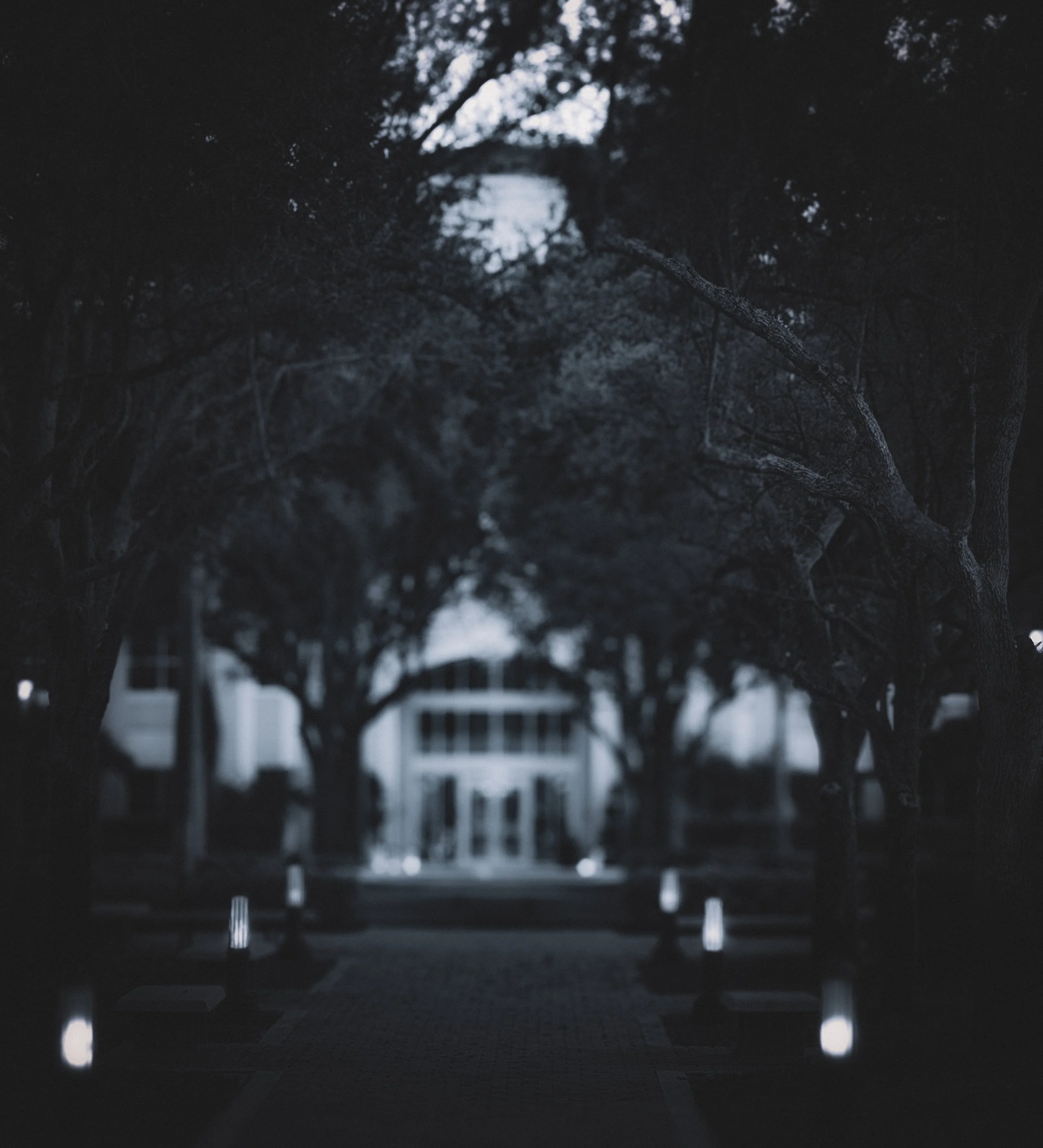 BEFORE YOU ARRIVE

A path emerges through shadow, guided only
by fragments of light.
The space does not reveal itself fully; it holds,
it pauses, it waits.

What stands ahead is visible, yet distant,
softened beyond reach.
Not absence, but something 