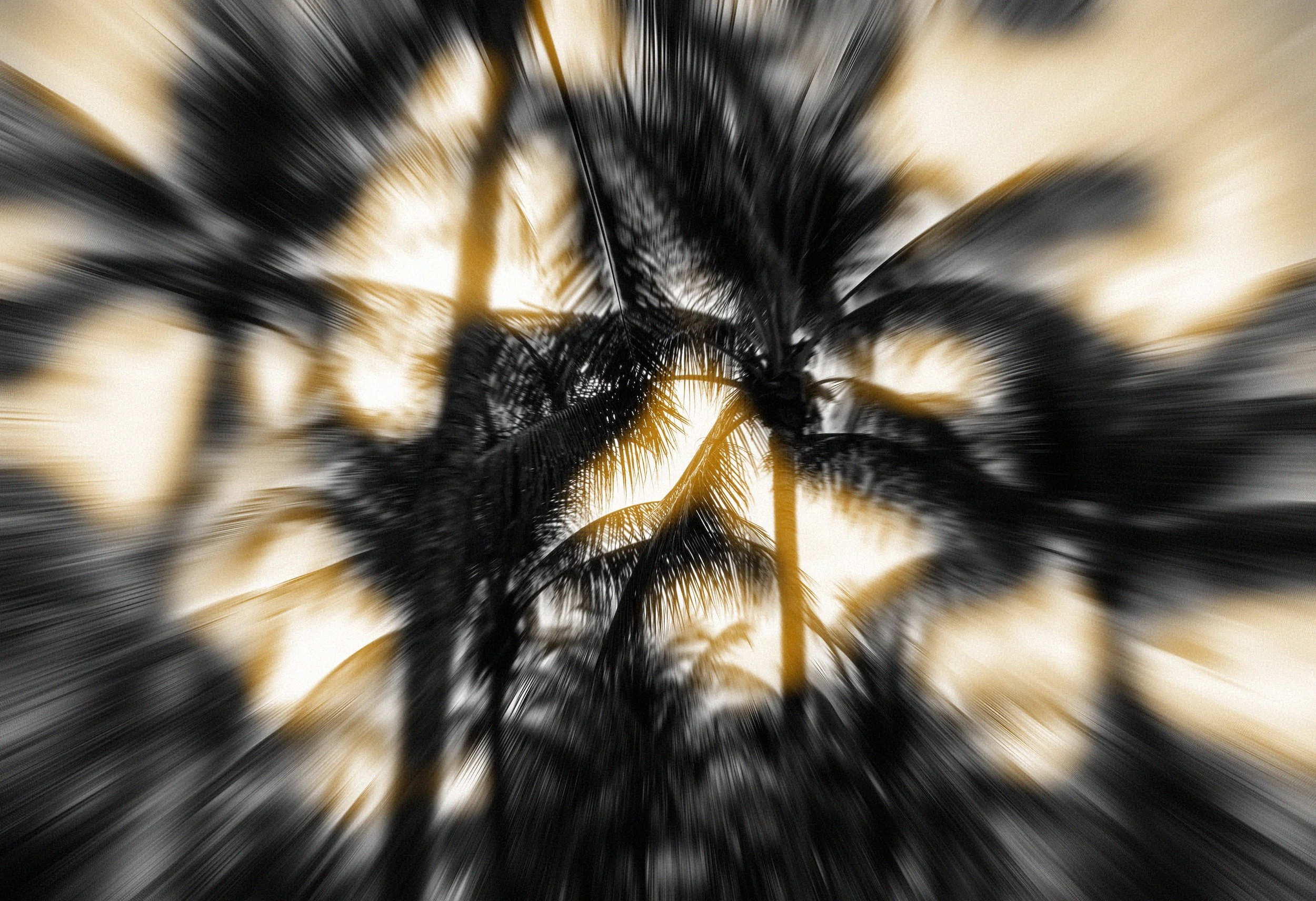 DSC00012 (2)black.jpeg