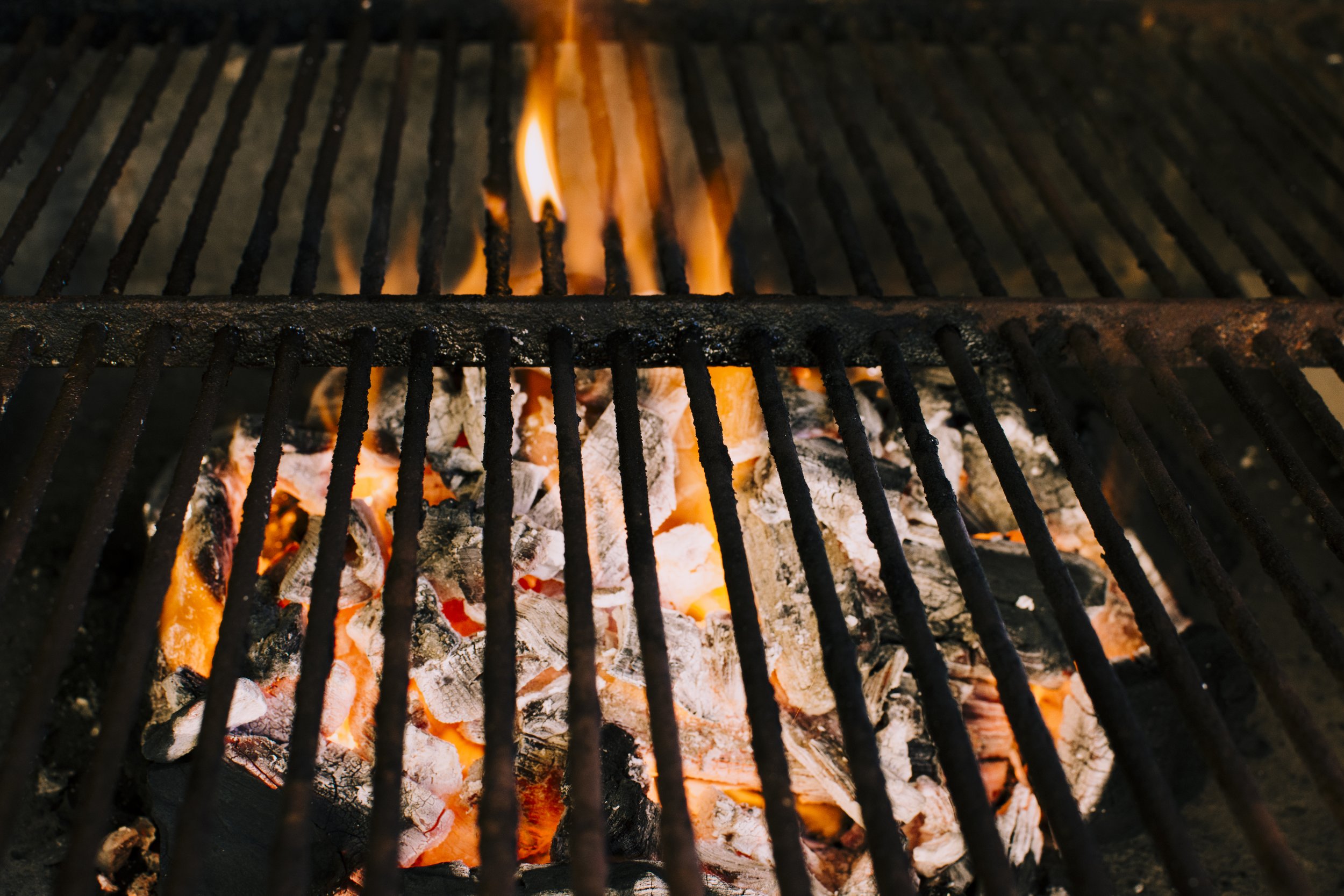 Wood Fire Grill