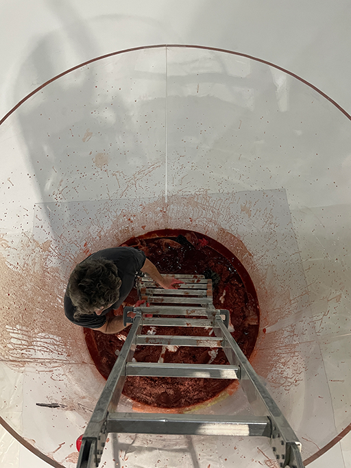 1EC293EB-A42F-4861-9C95-7549752C08CB@0.5x.png