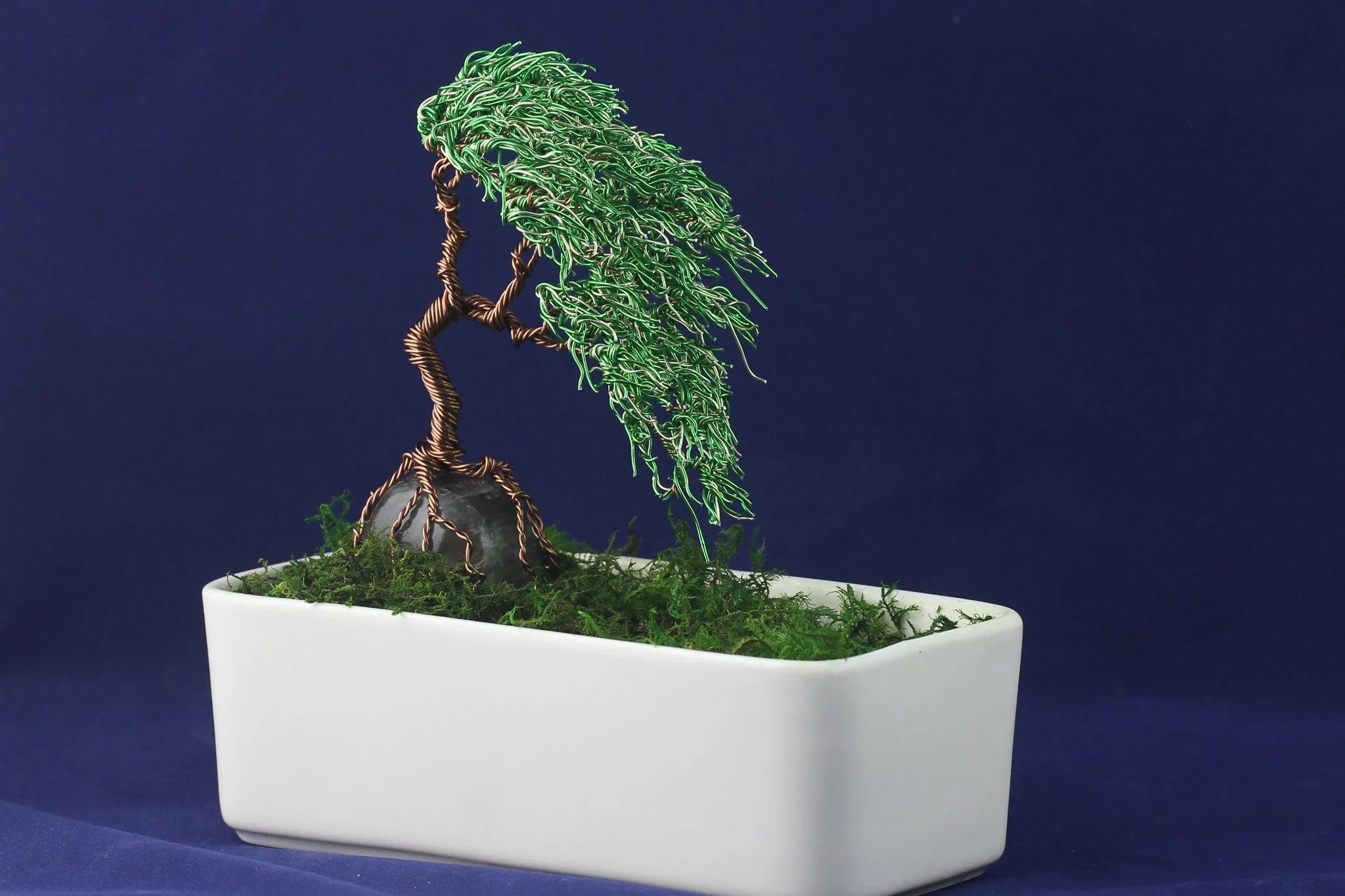 Green Bonsai on Fluorite Mineral #61401