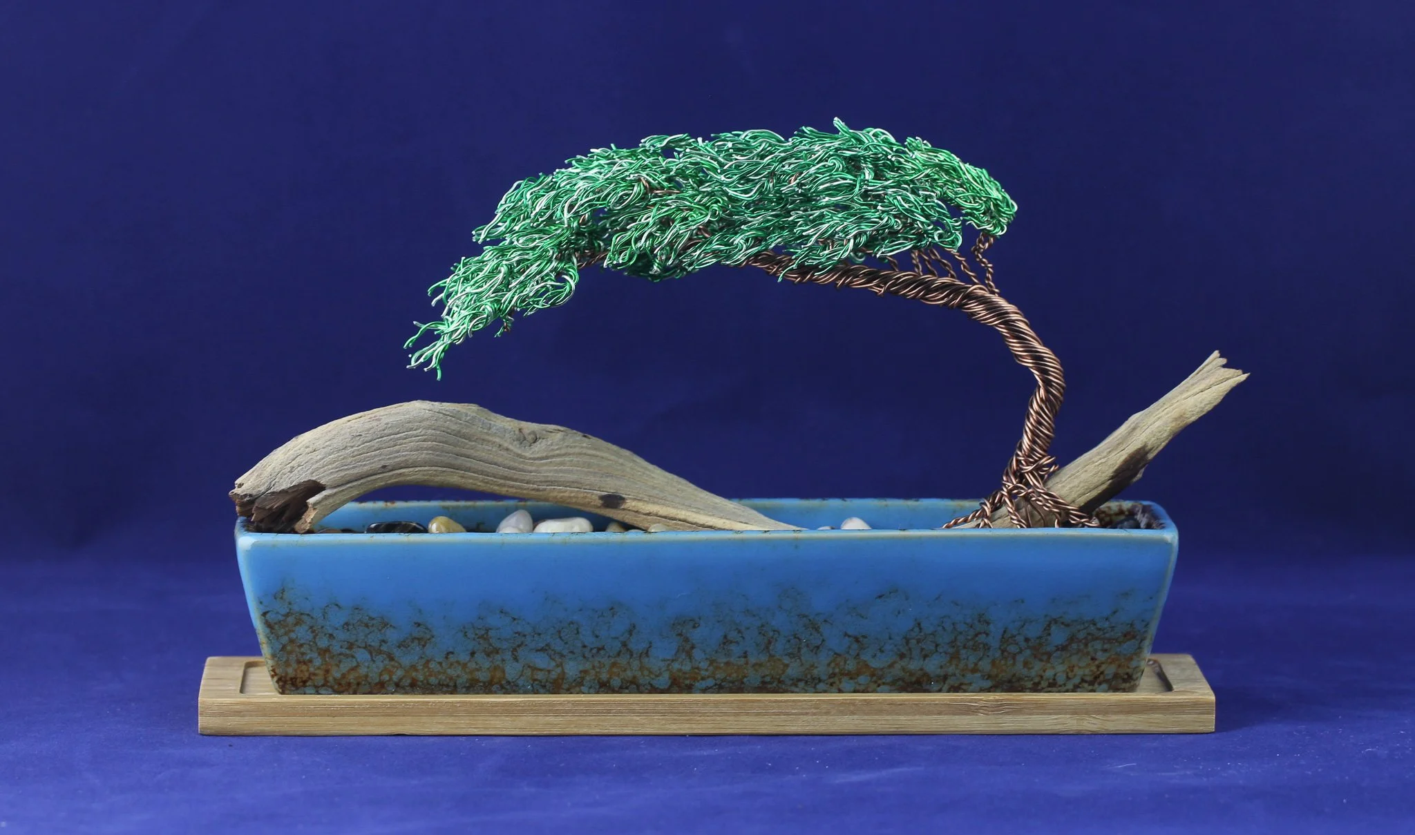 Potted Green Bonsai on Drift Wood #824246