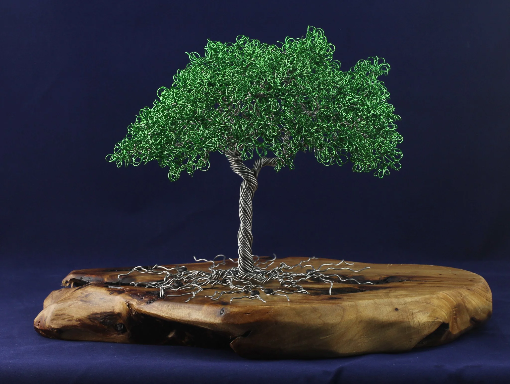 Tree on Cedar Wood Base #630241