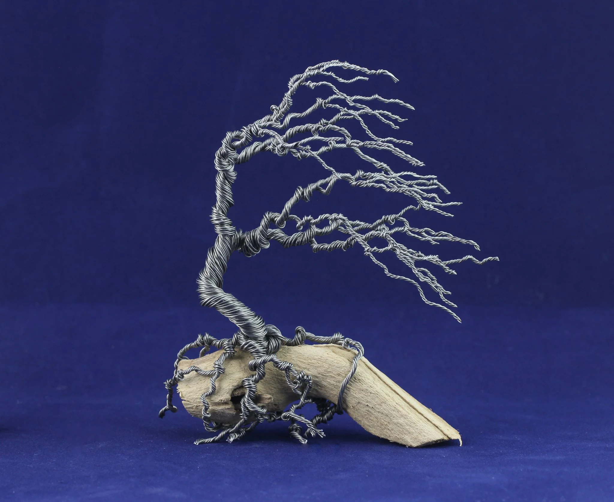 Wind Blown Wire Tree on Driftwood 5in #11162402