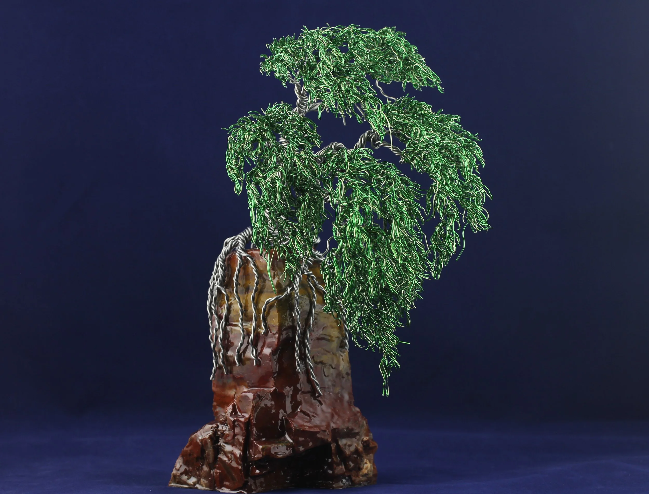 Green Bonsai on Petrified Wood Rainbow #62203