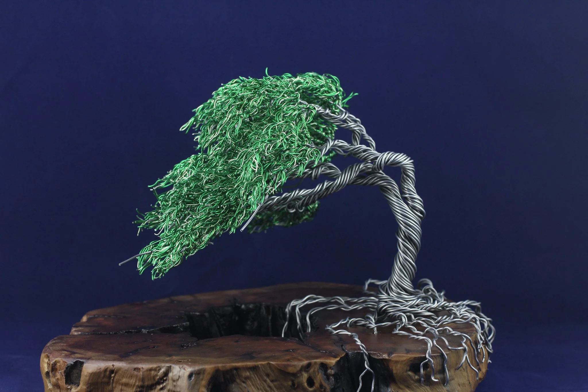 Wind Blown Tree on Wood Base