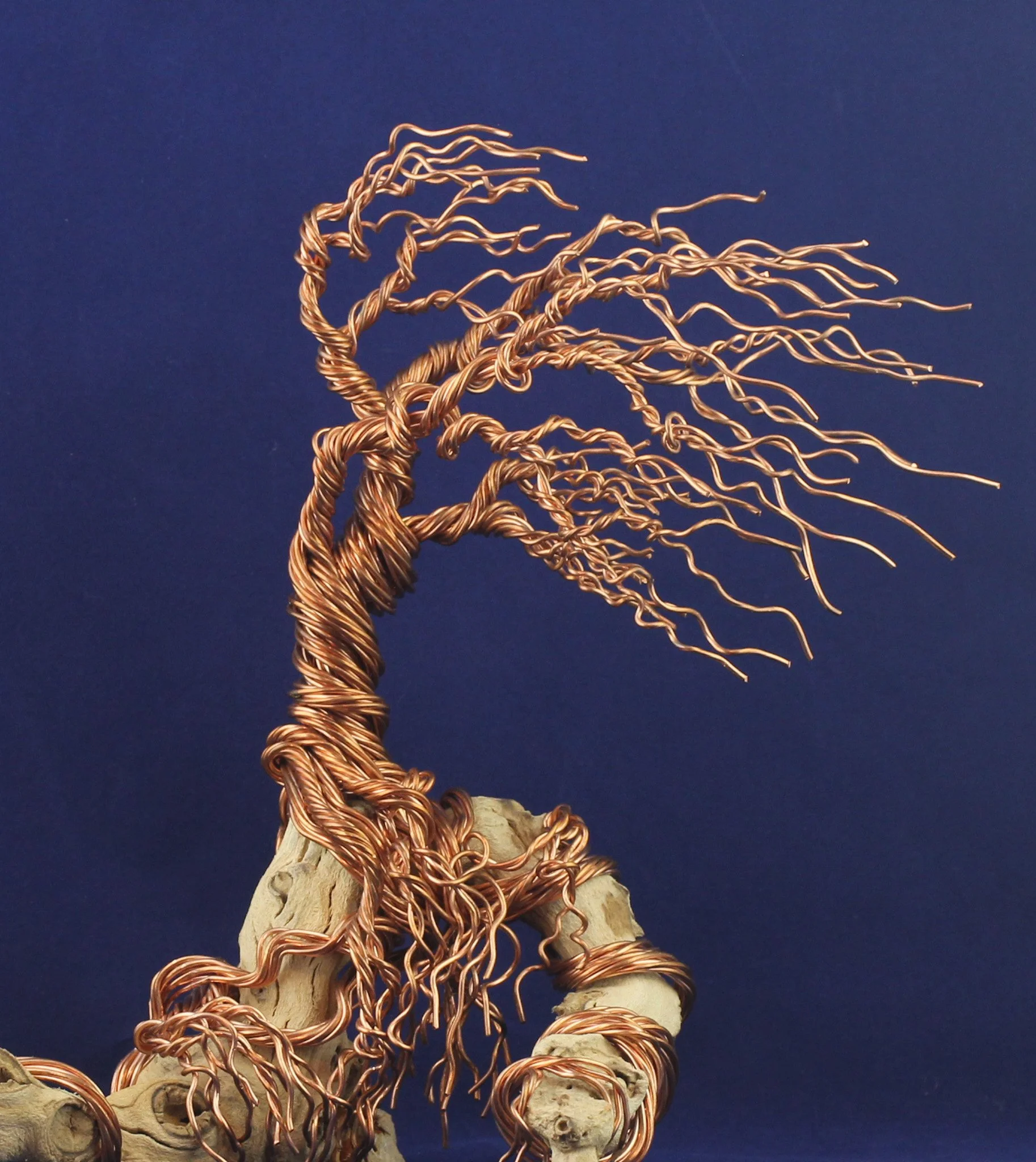 Wind Swept Copper Tree