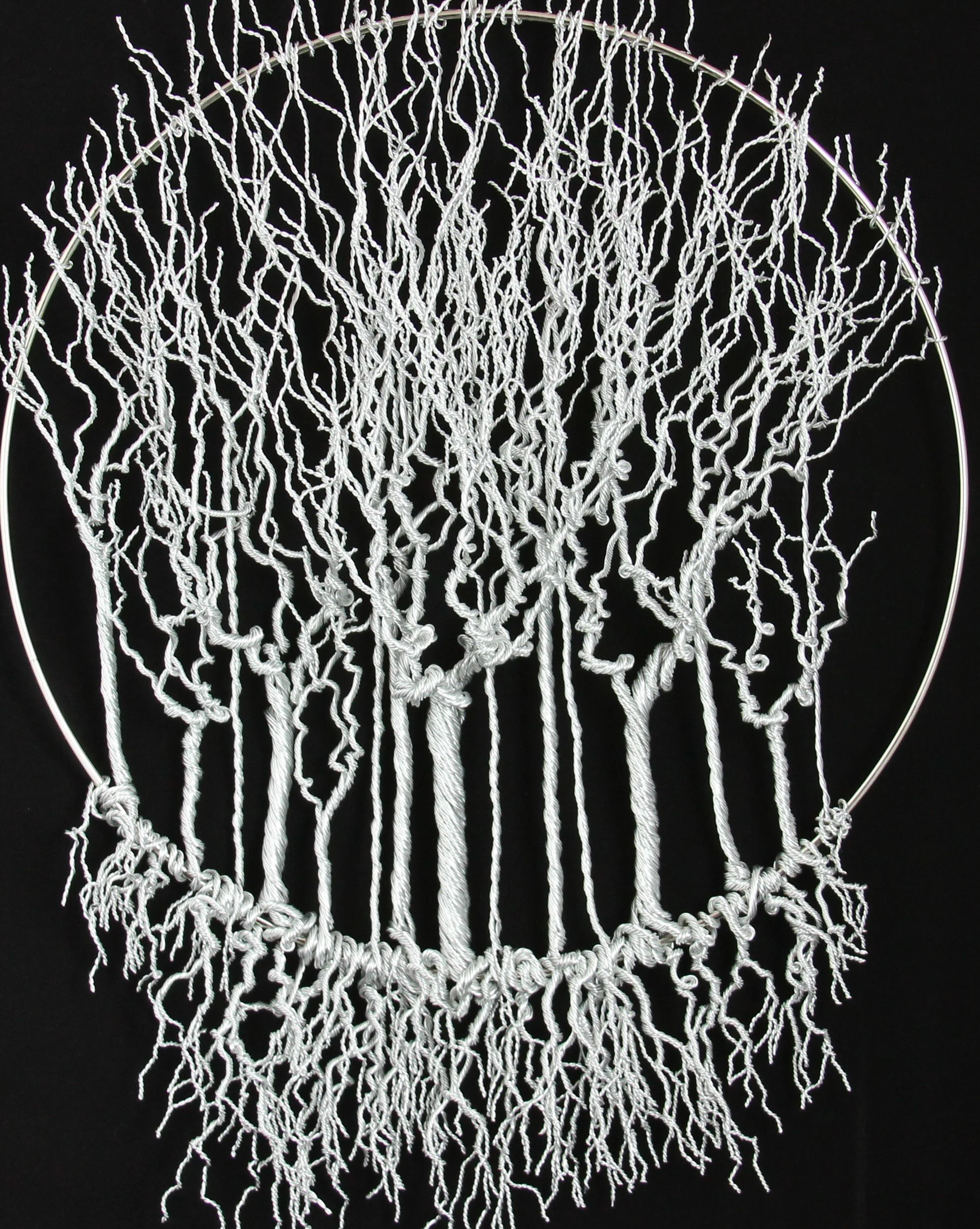 Tree Dream Capture - SOLD