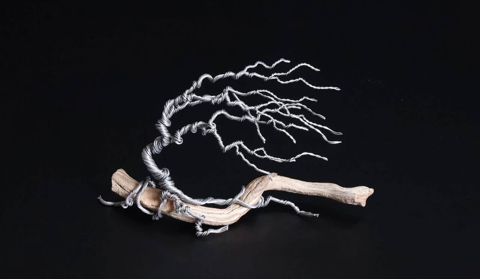 Mini Wind Swept Tree