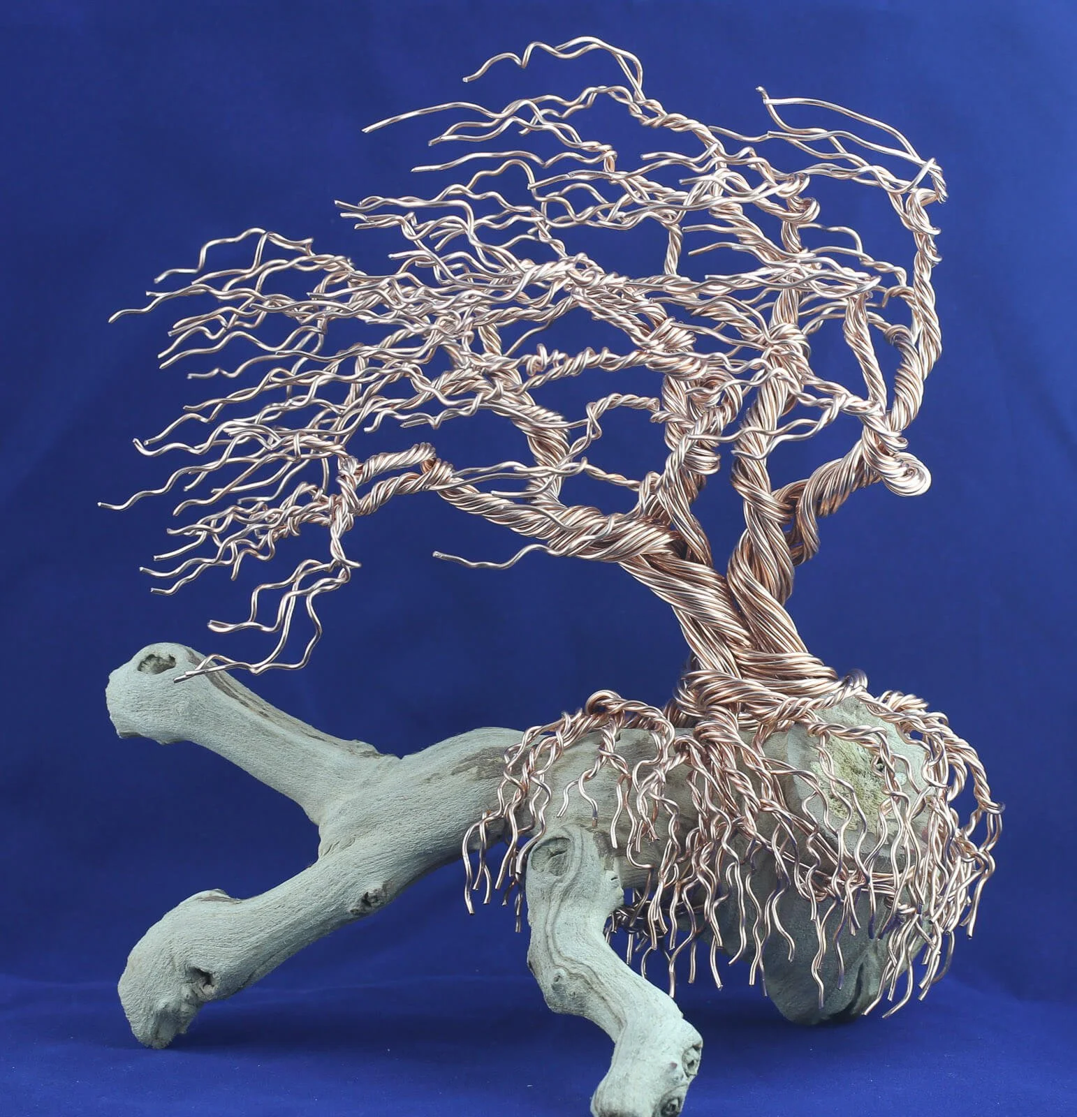Wind Blown Copper Tree on Driftwood