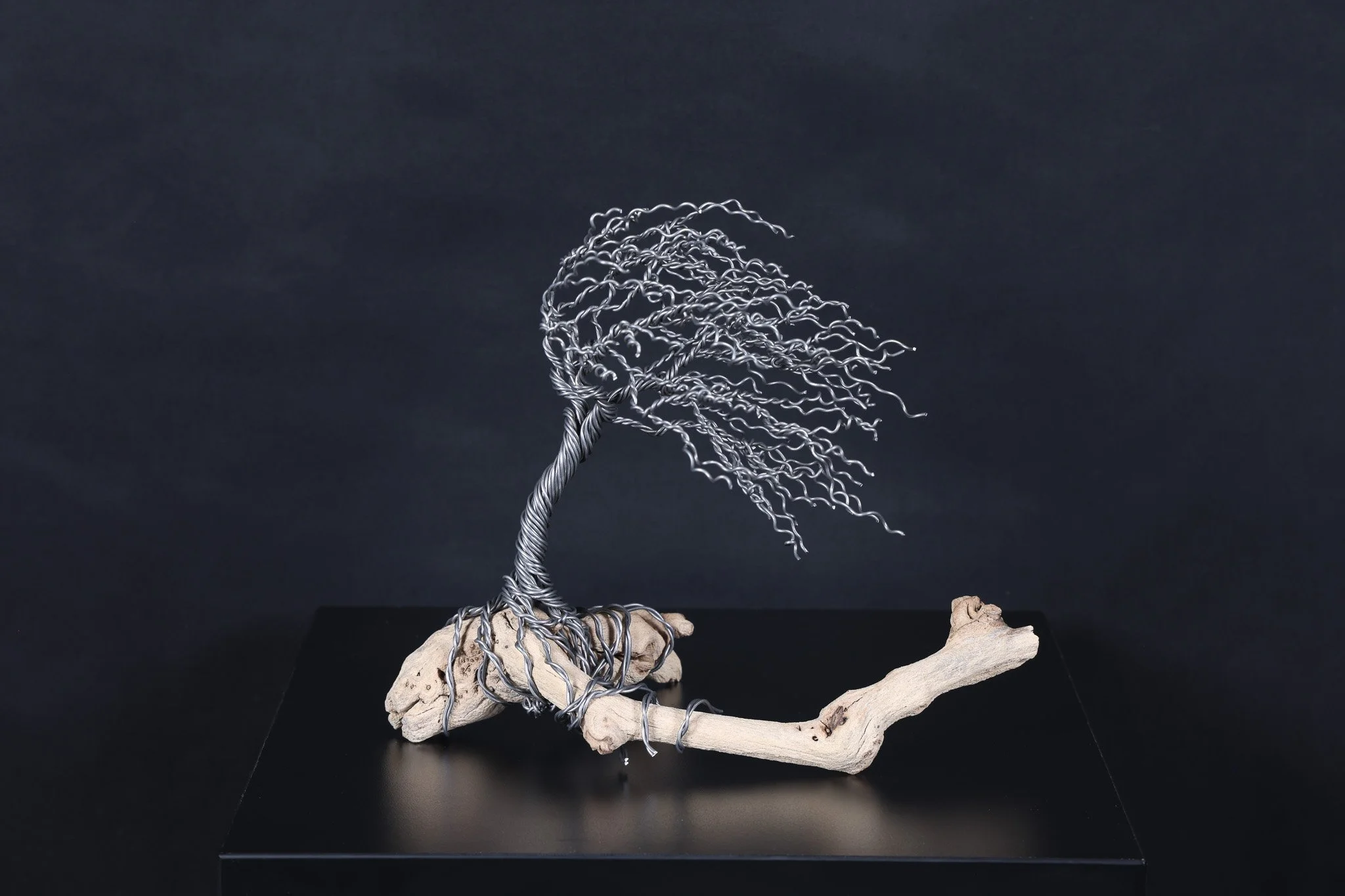 Wind Swept on Driftwood - SOLD