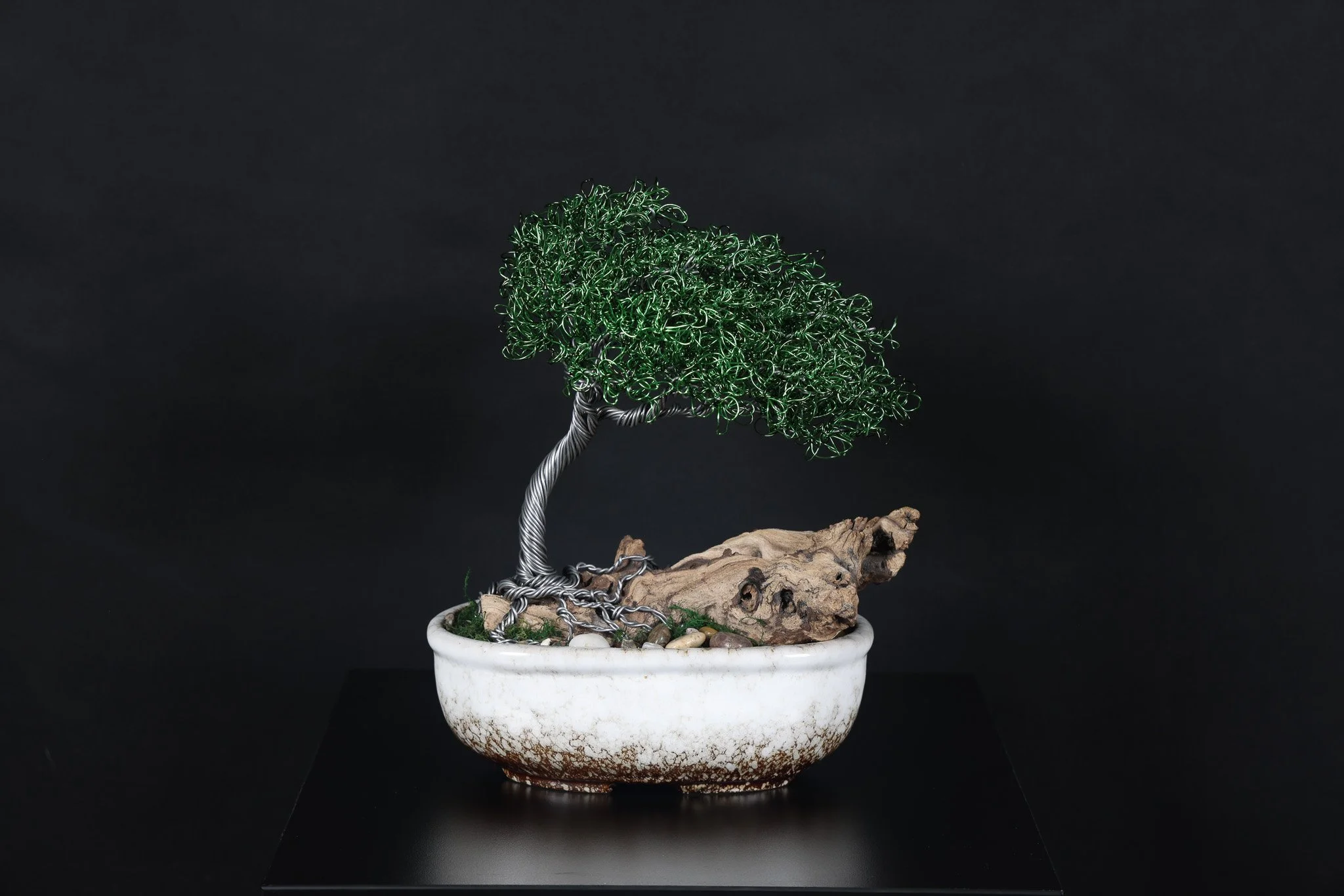Green Wind Swept Bonsai - SOLD