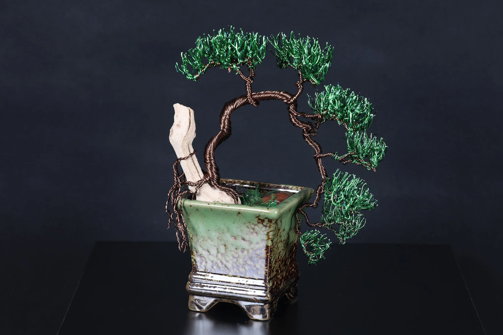 Green Bonsai - NEW $150