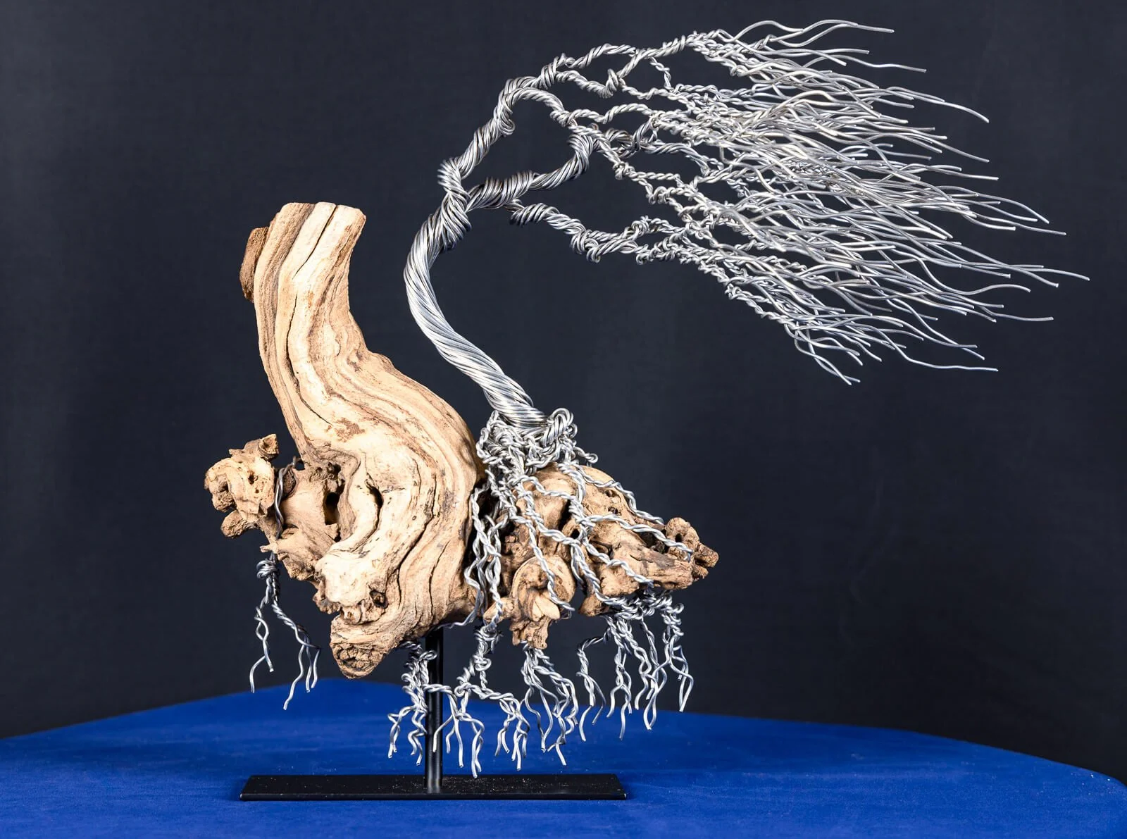 Wind Swept Aluminum on Driftwood