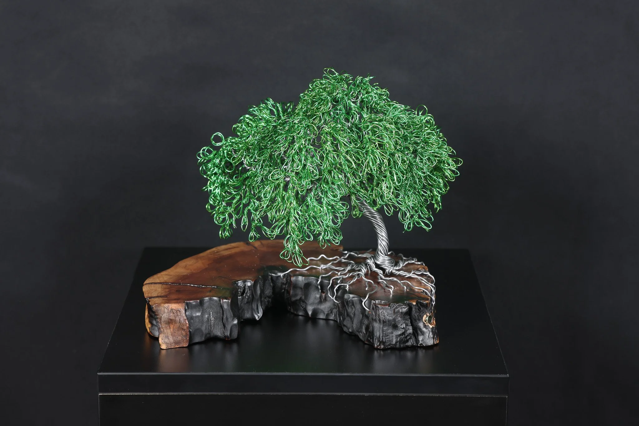 Willow on Wood - SOLD