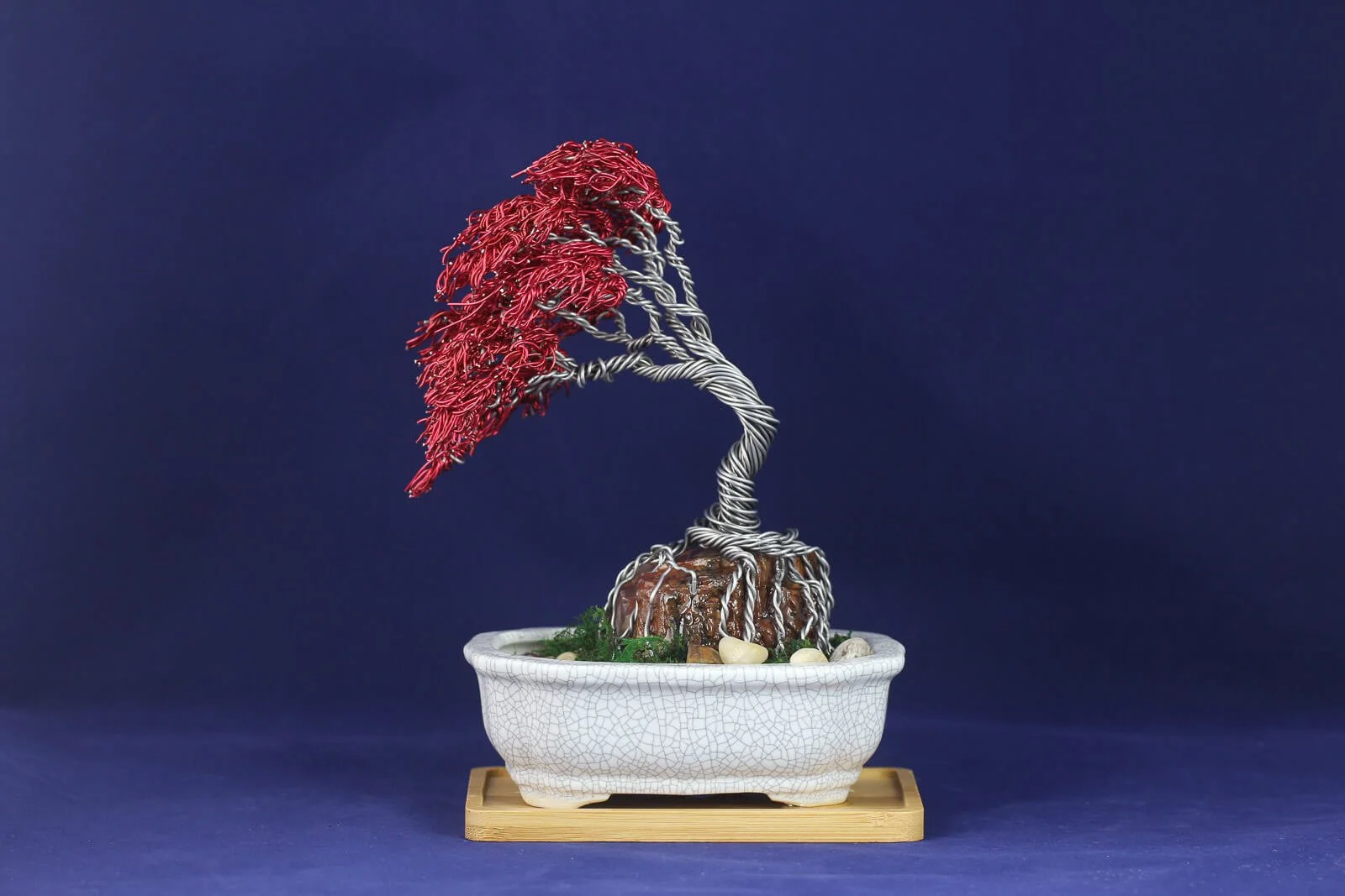 Red Bonsai #3