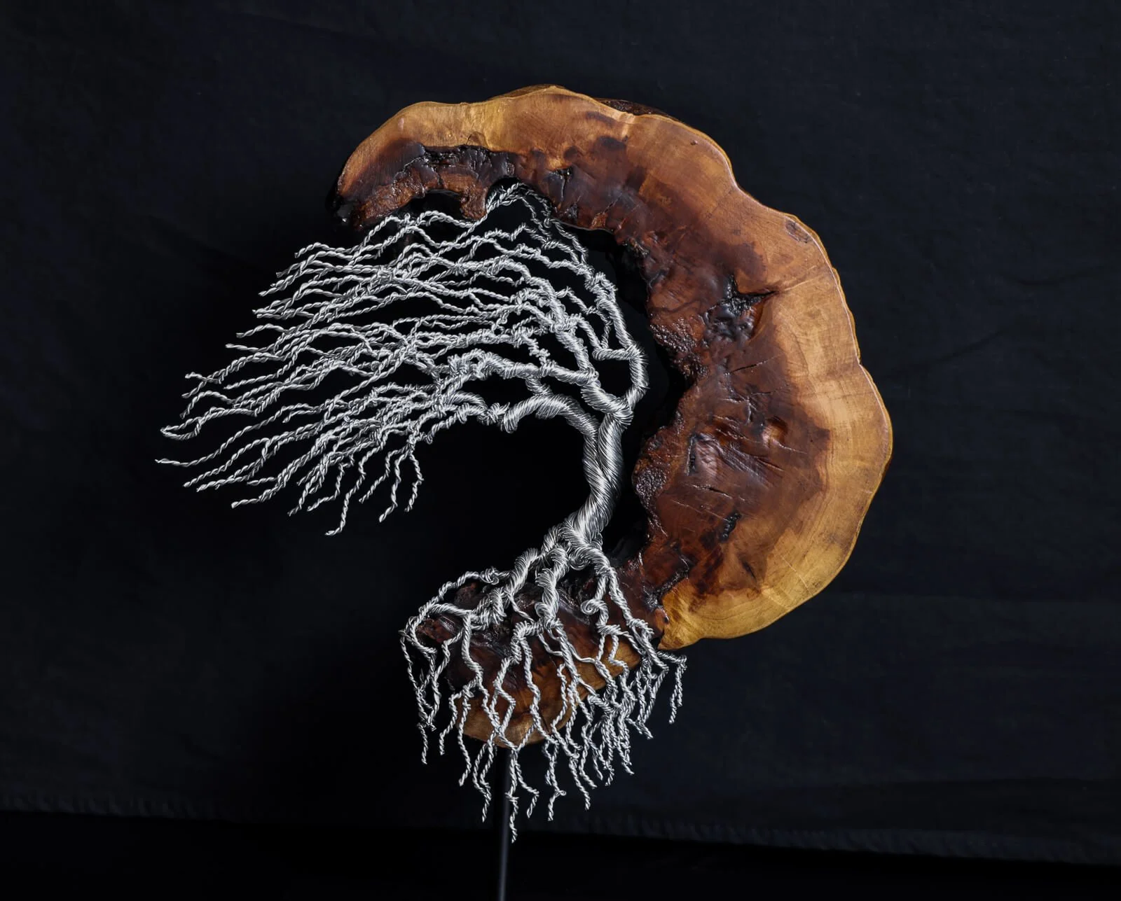 jvbowling Tree of Life