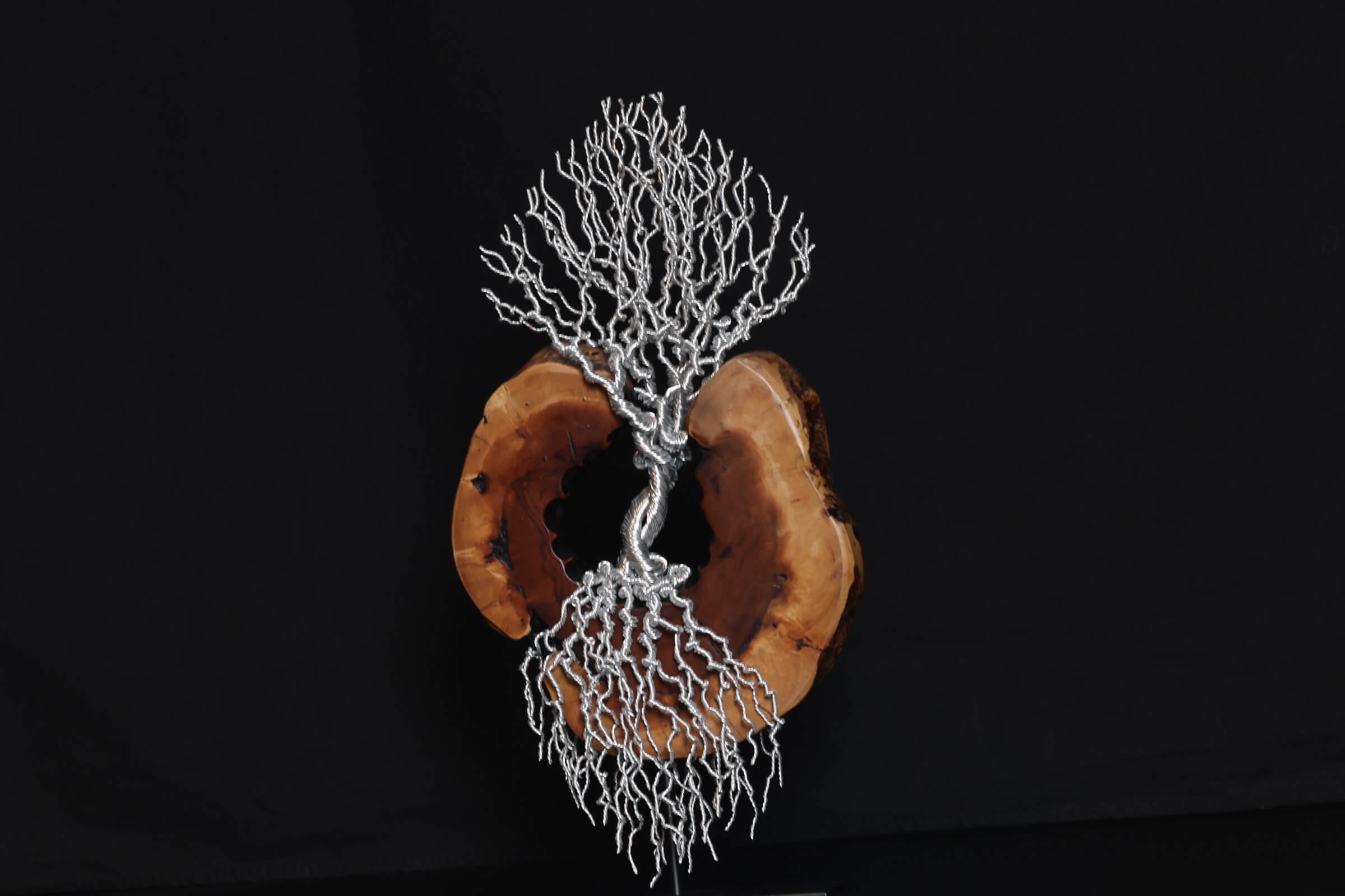 Wire Tree Sculpture on Date Wood - SOLD