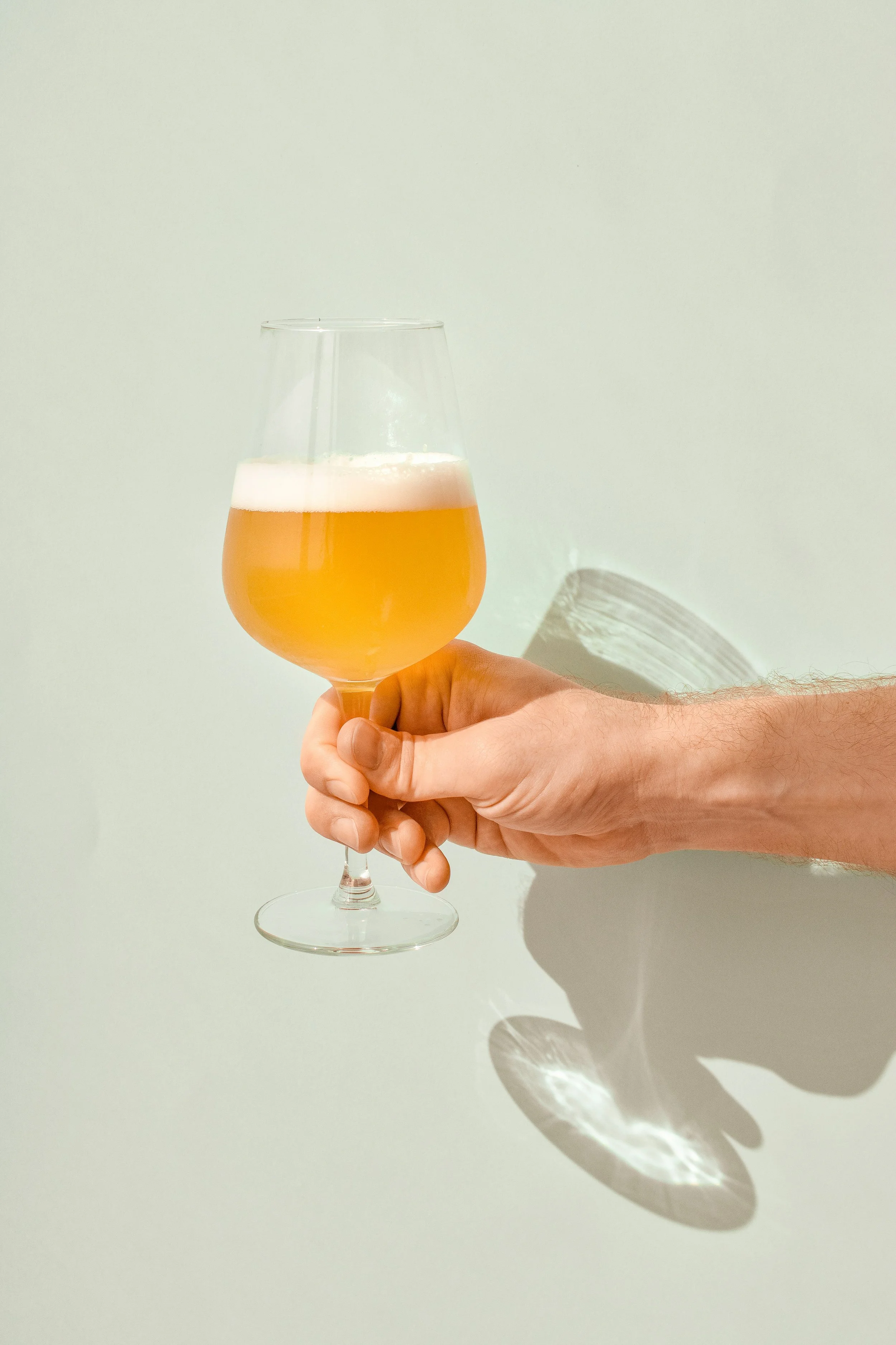 Breweries (beer factories)