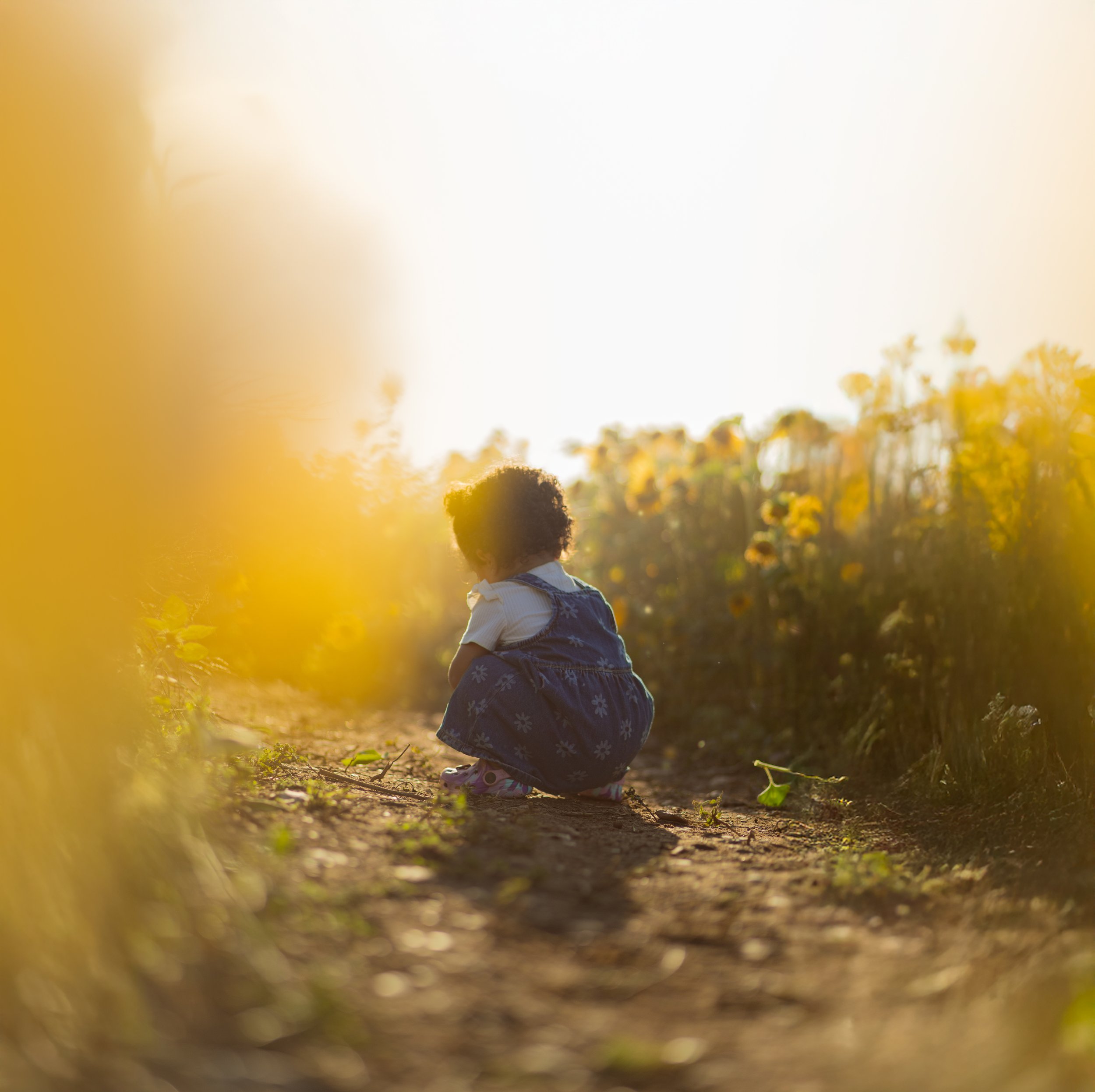 A young girl with curly hair crouching on a dirt path in a field of yellow flowers during sunset.