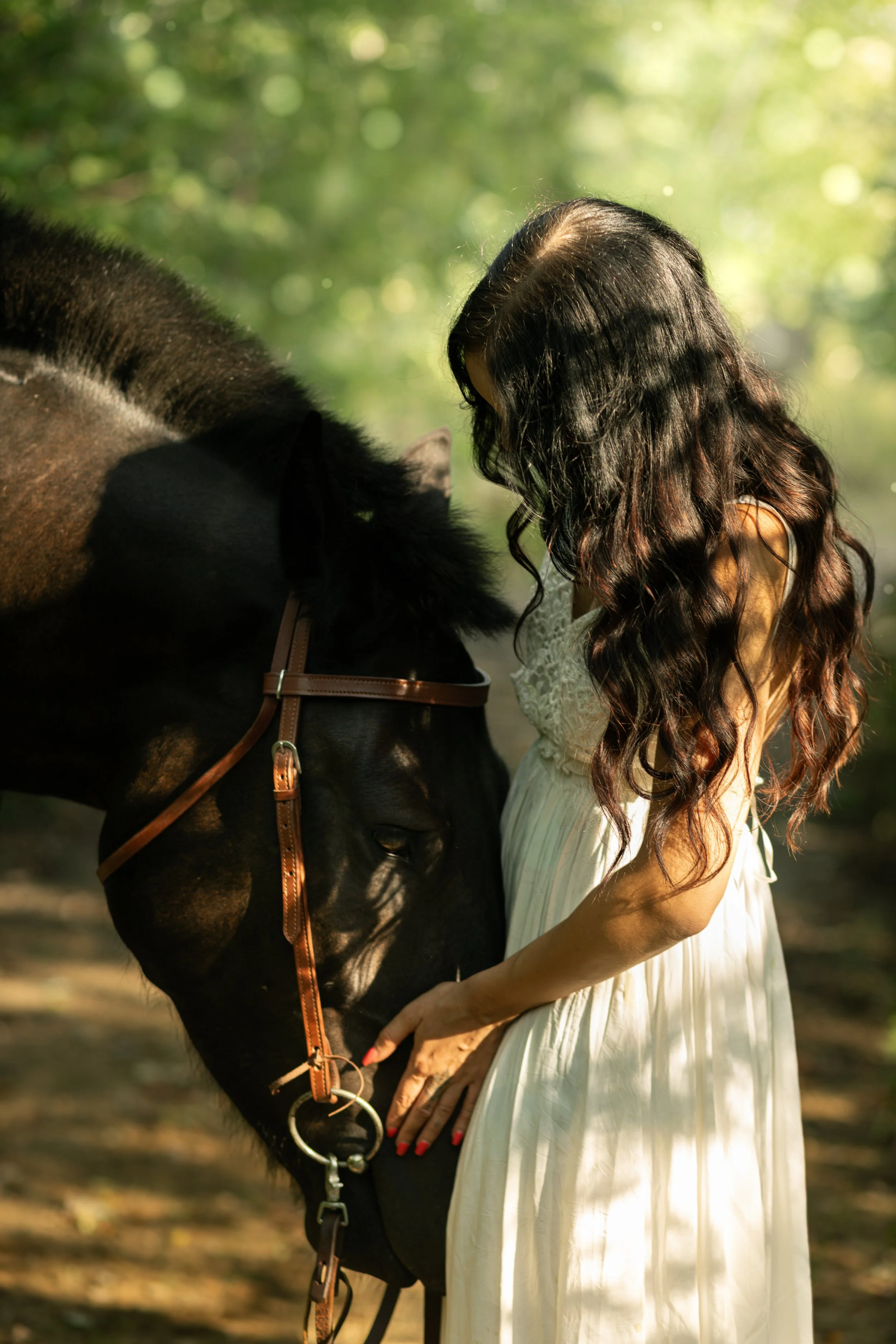 A woman with long, wavy dark hair in a white dress gently touching a black horse's face in a sunlit forest.