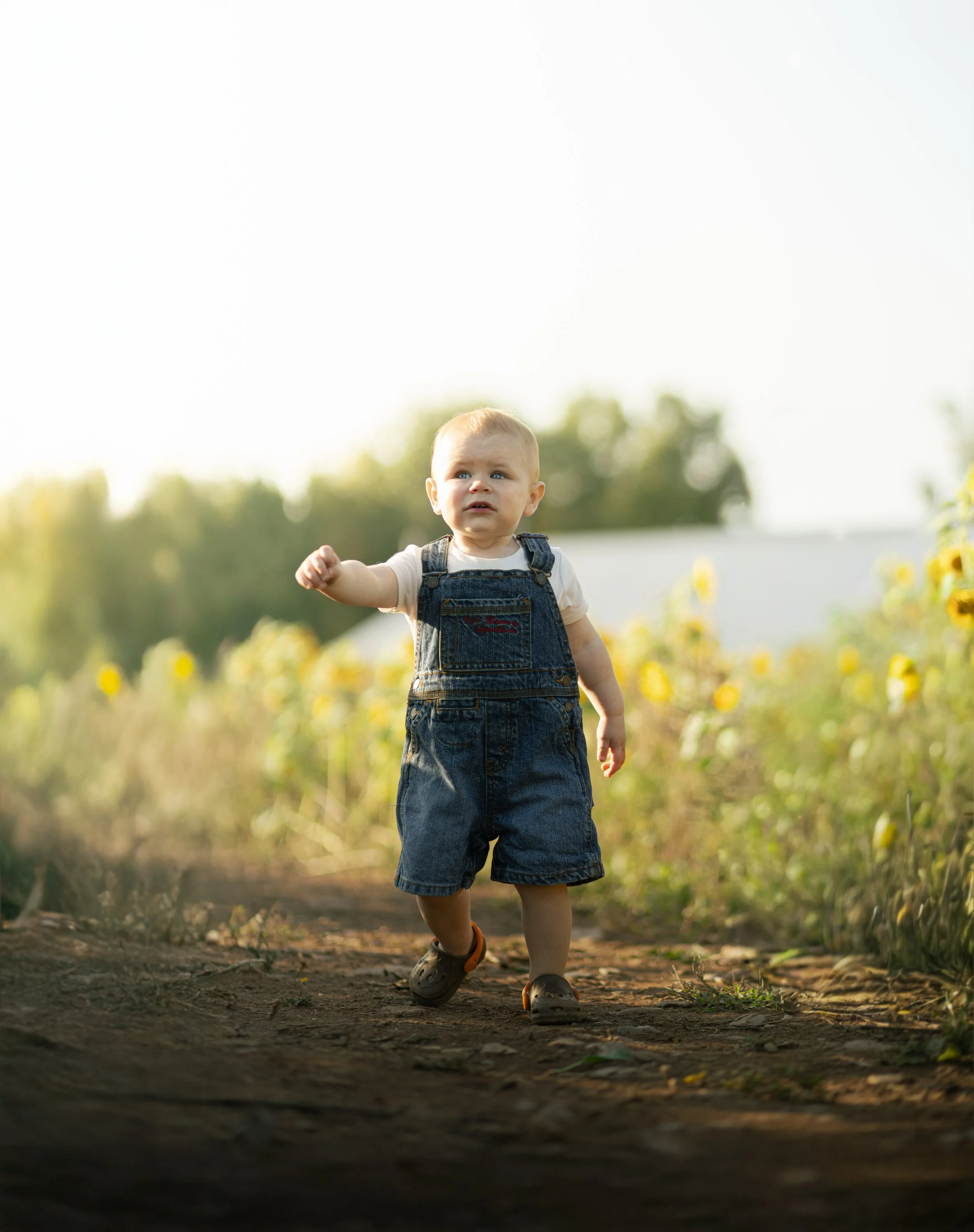 A young boy walking on a dirt path through a field of yellow flowers during daylight.