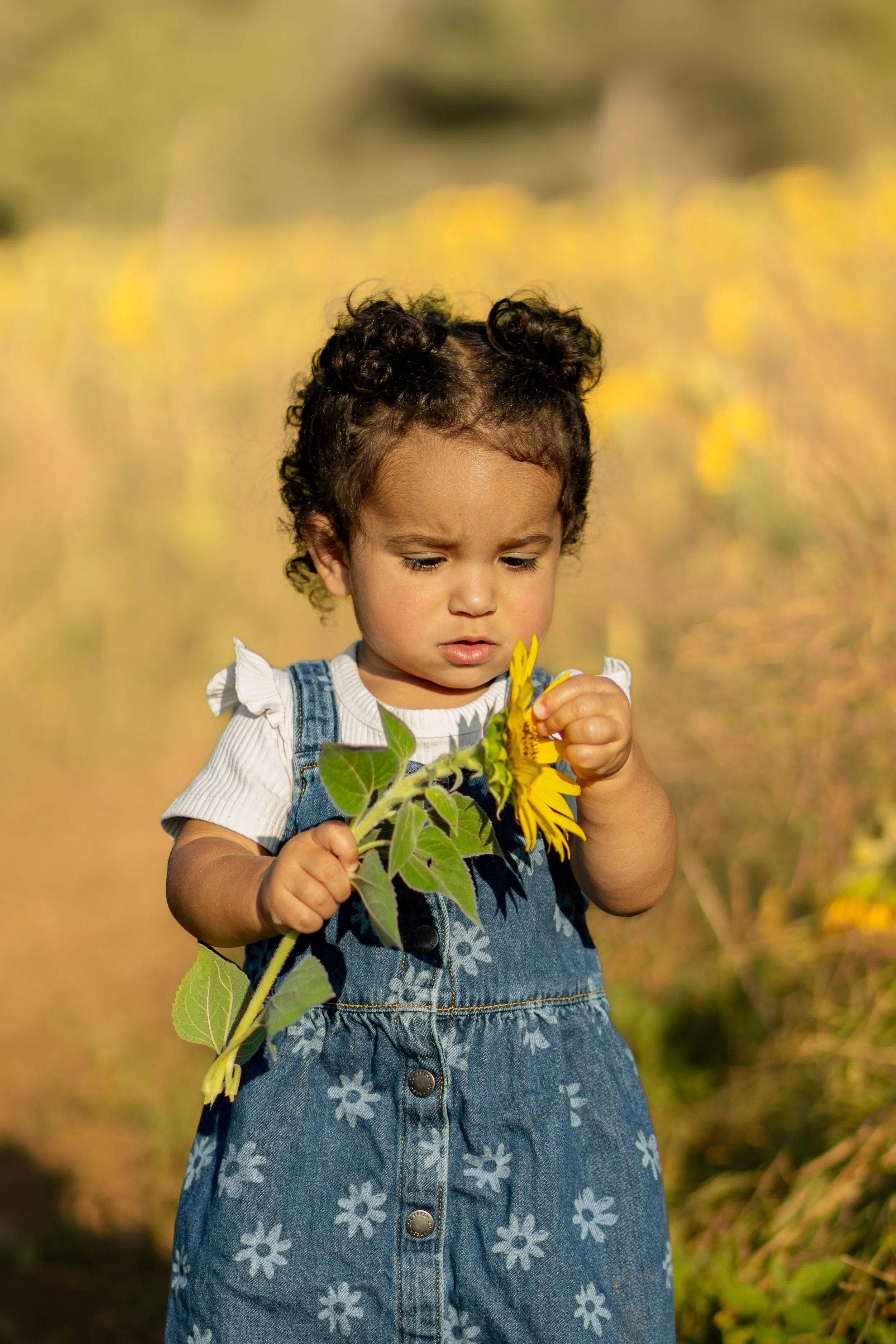 A young girl with curly hair in pigtails, wearing a denim dress with a flower pattern, holding a sunflower and looking at it with curiosity.