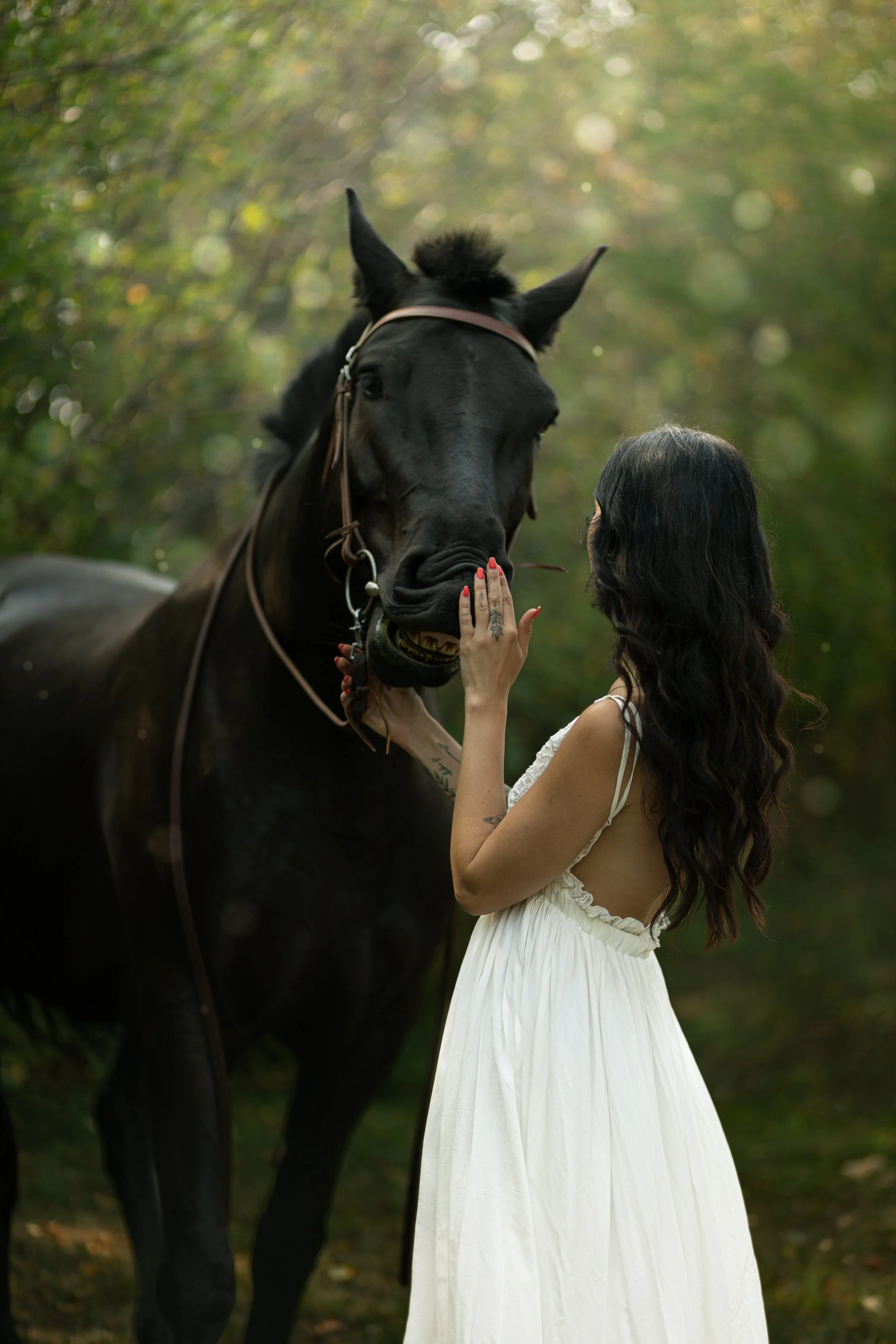 A woman in a white dress gently touching a black horse's face in a wooded area.