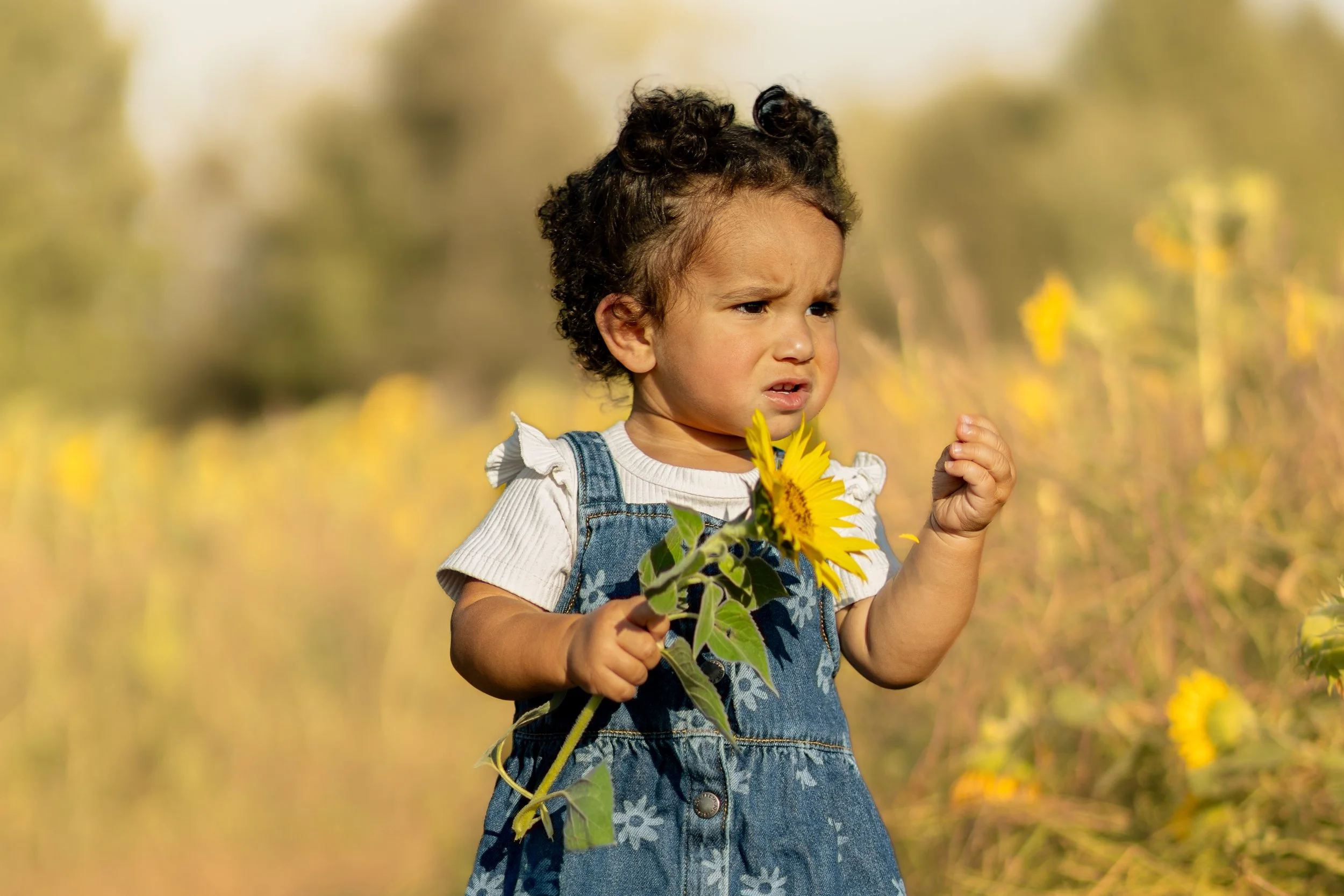 A young girl outdoors holding a sunflower, looking confused or concerned.