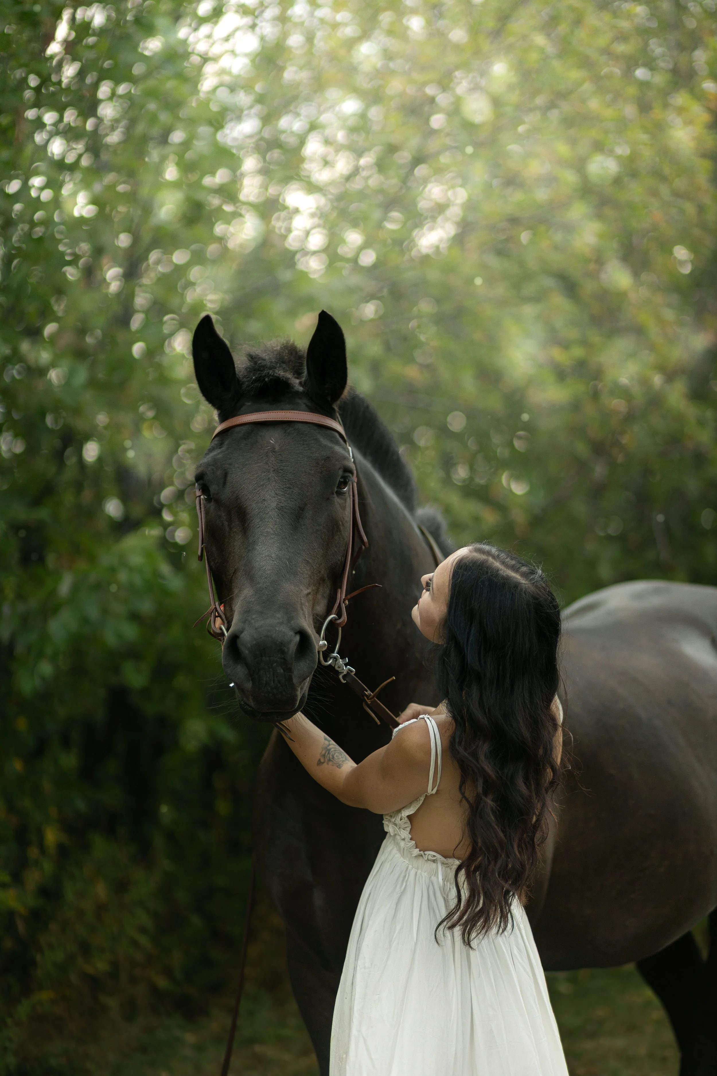 A woman with dark hair and a white dress standing outdoors, gently holding and kissing a large black horse with a brown bridle, surrounded by green foliage.