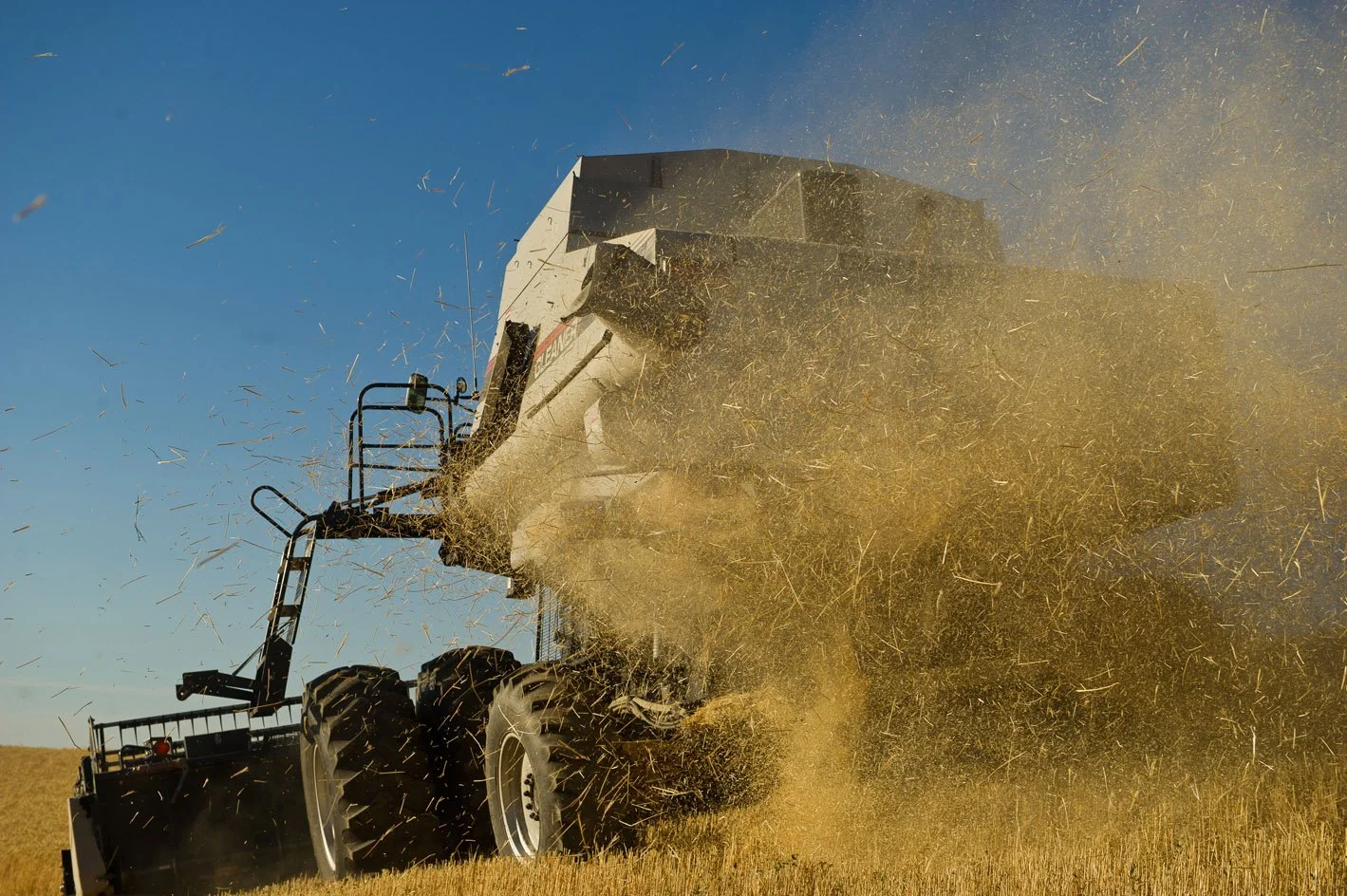 A large combine harvester working in a field during daytime, kicking up dust and chaff as it harvests crops under a clear blue sky.