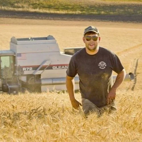 Man standing in a wheat field with a combine harvester in the background.