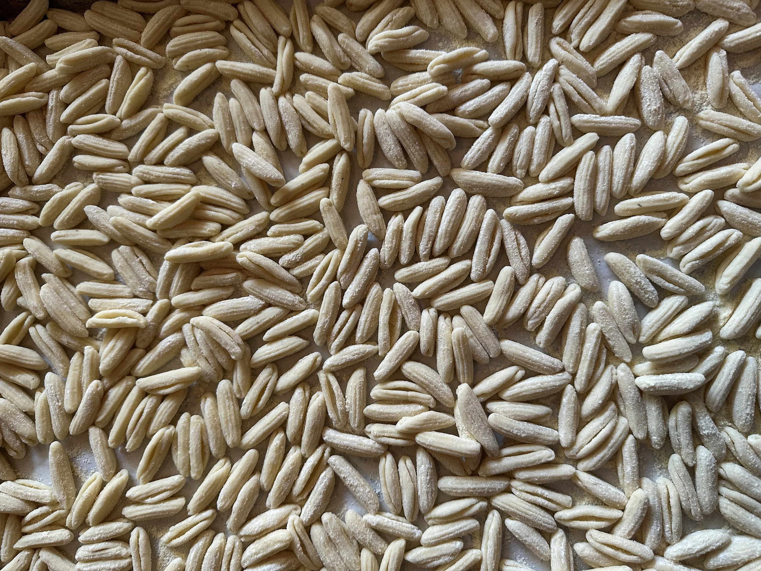 A close-up view of uncooked sunflower seeds spread out on a surface.