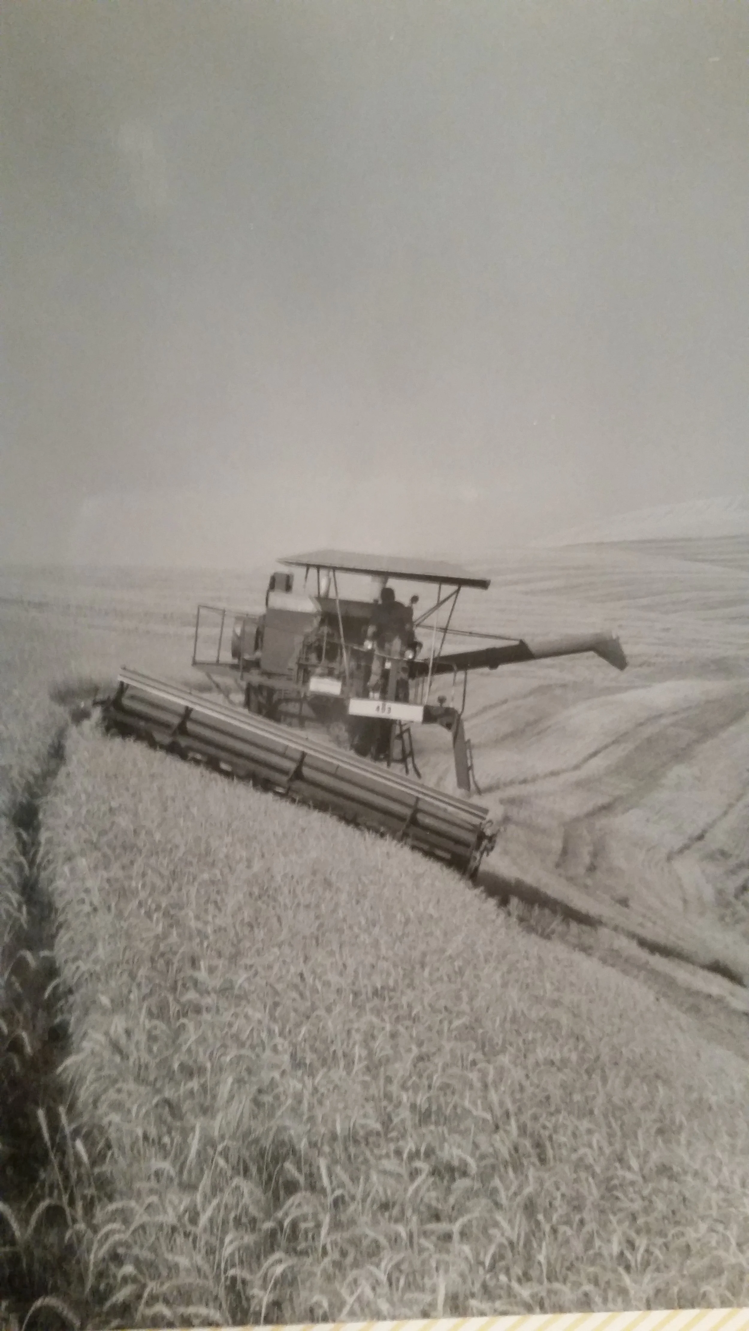 Black and white photo of a combine harvester working in a field of crops, with a cloudy sky in the background.