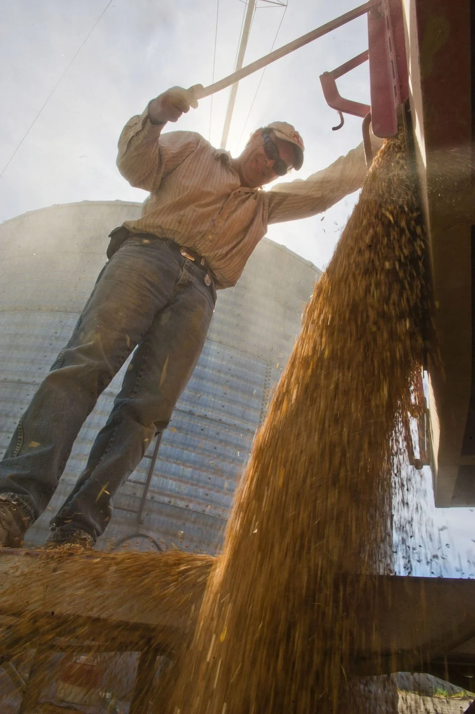 A man wearing safety goggles and a long-sleeve shirt is pouring a large amount of grain or similar material from a conveyor or chute into a container outdoors, with a large cylindrical building in the background.
