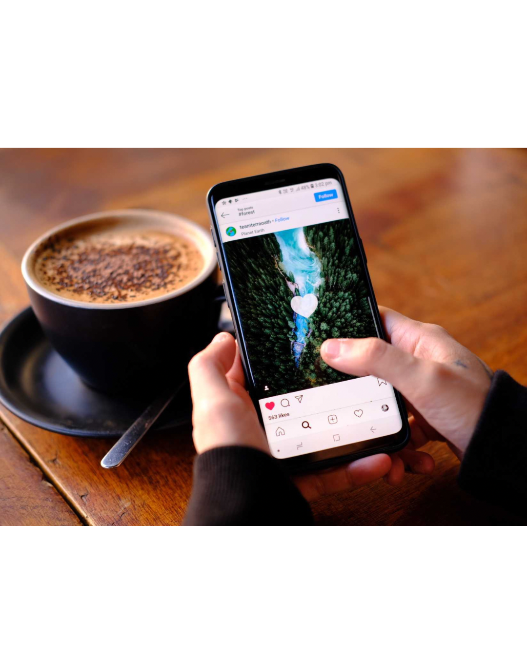 Fertility nutrition. Pregnancy nutrition. Food for morning sickness.