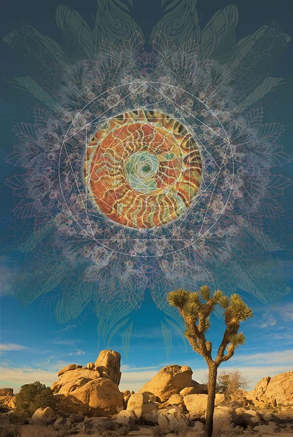 A desert landscape with rocks and a Joshua tree under a blue sky, overlaid with a colorful, circular, mandala-like pattern containing a spiral at its center.