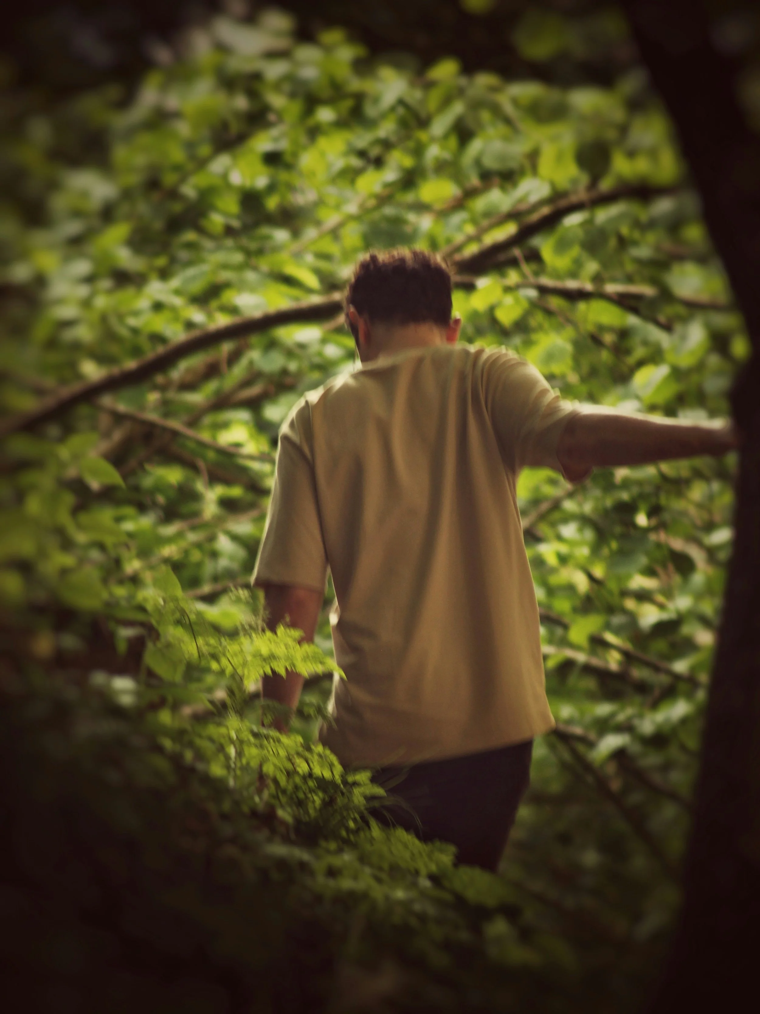 Counseling for children and teens in Virginia focused on emotional support and development