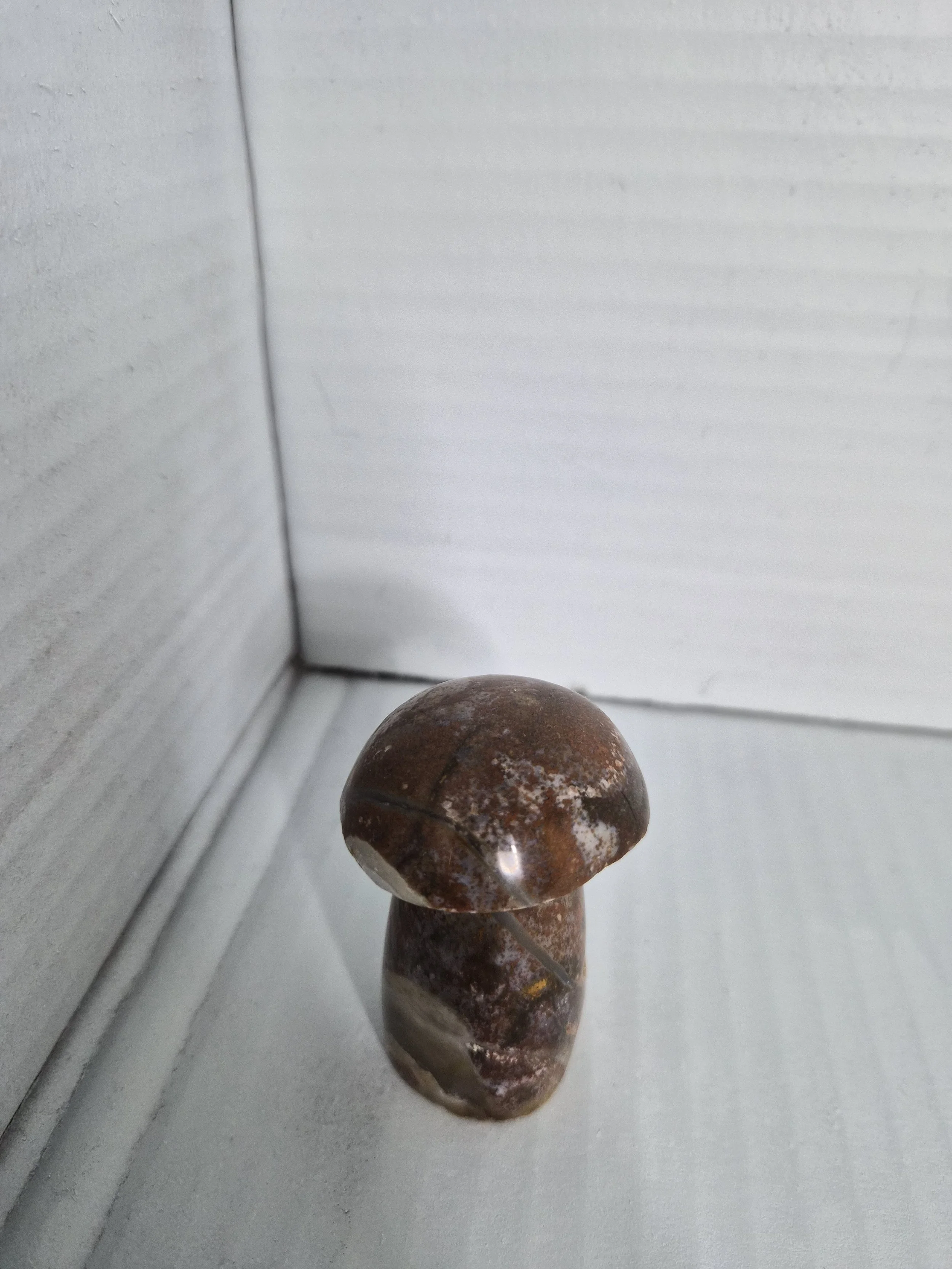 Ocean jasper mushroom