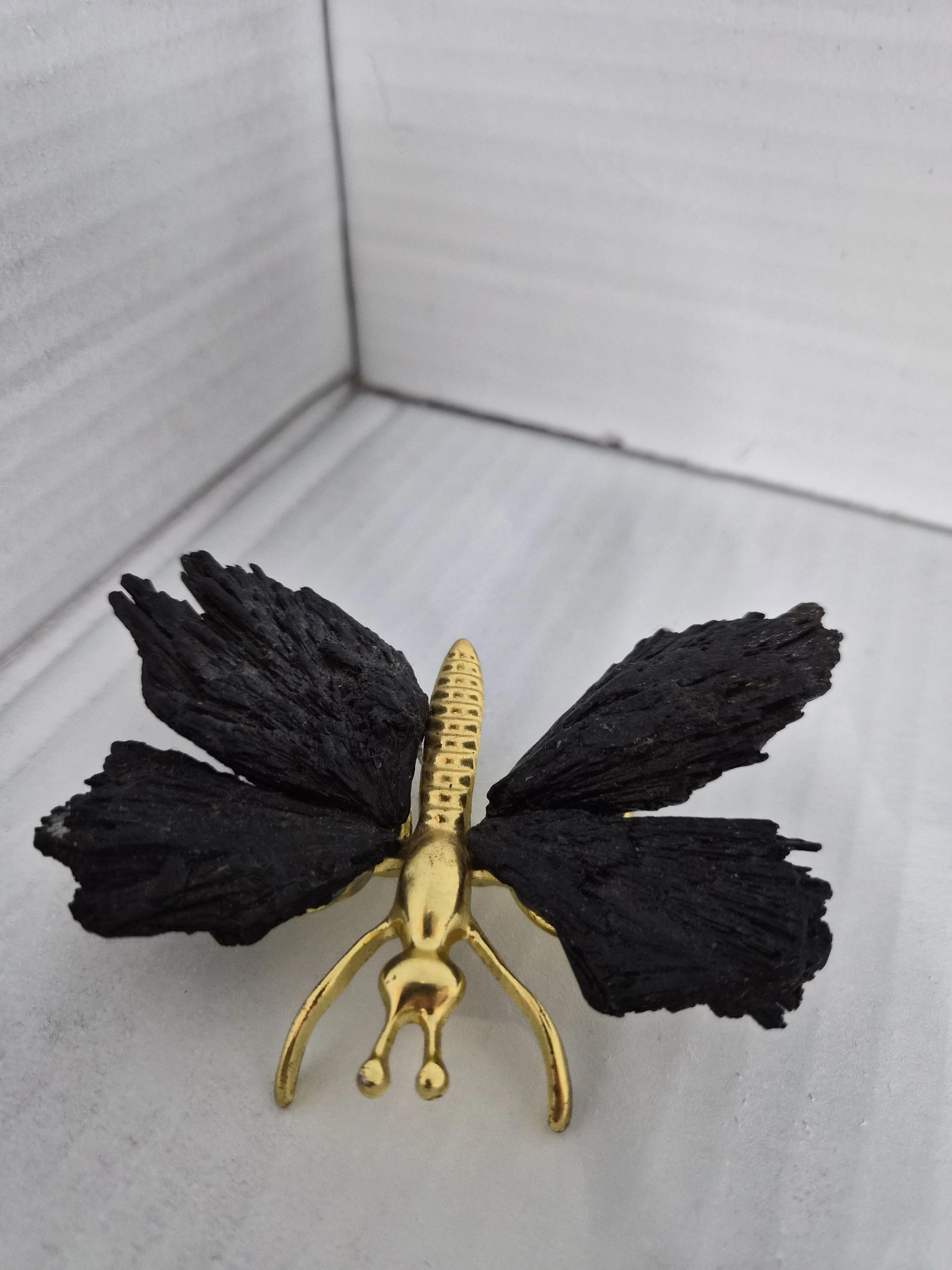 Black Kyanite Dragonfly